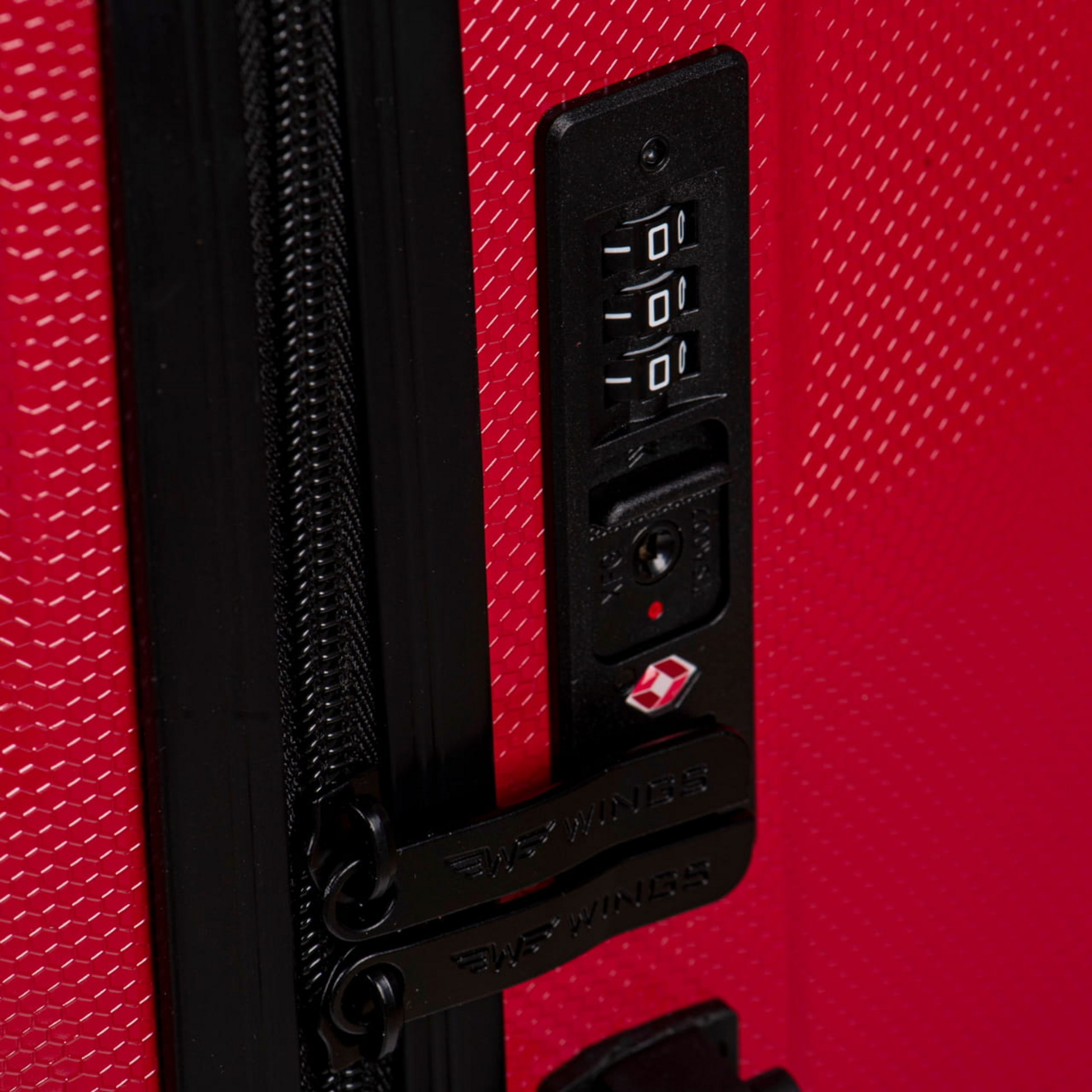 WINGS, Medium Case Wings Pc Vulture 24"