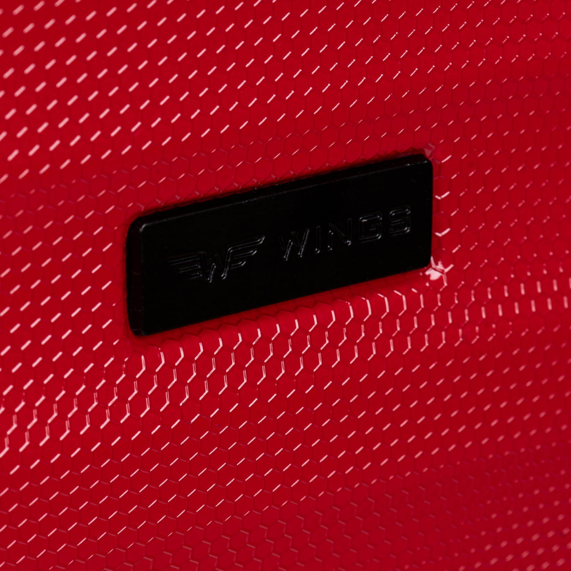 WINGS, Medium Case Wings Pc Vulture 24"