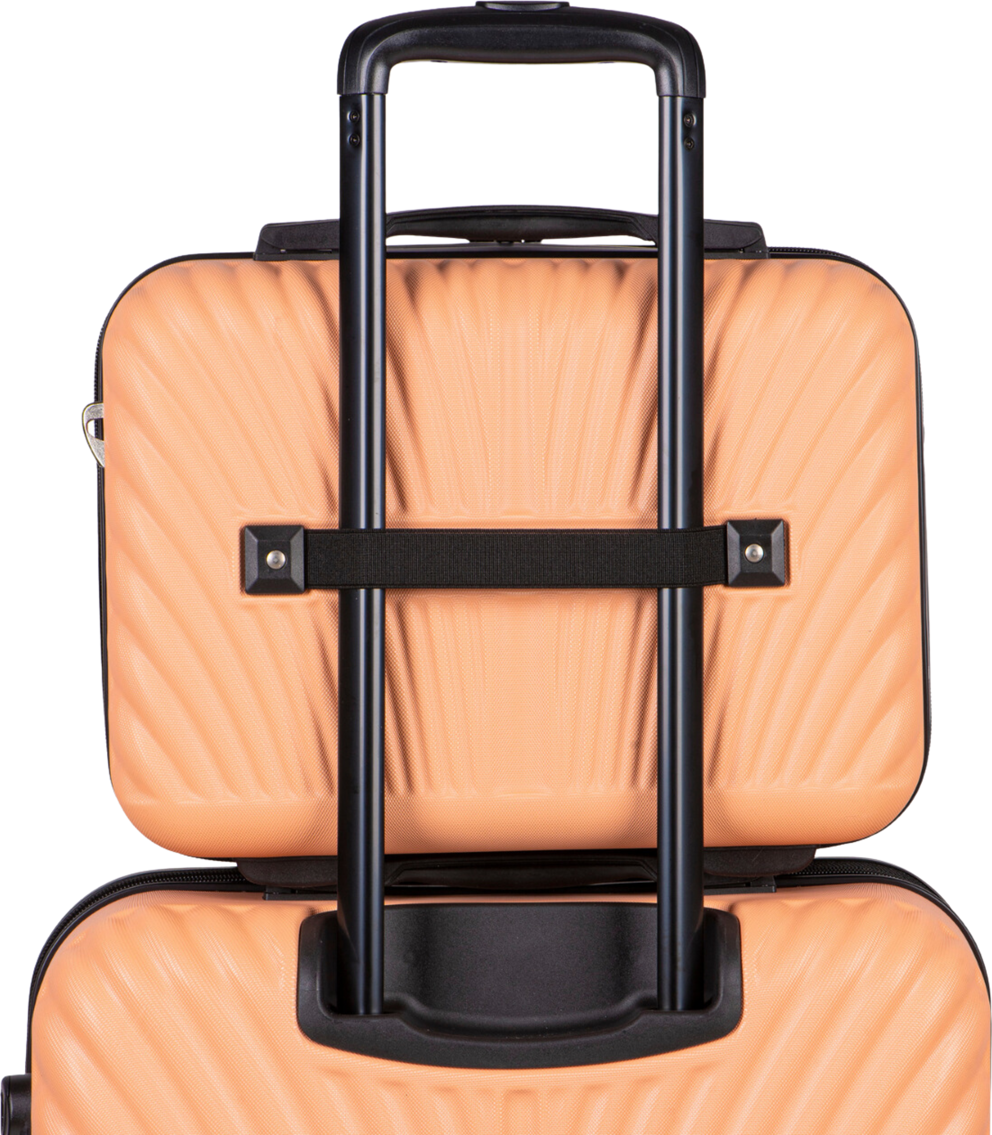 WINGS, Medium Suitcase Wings Swan 24"