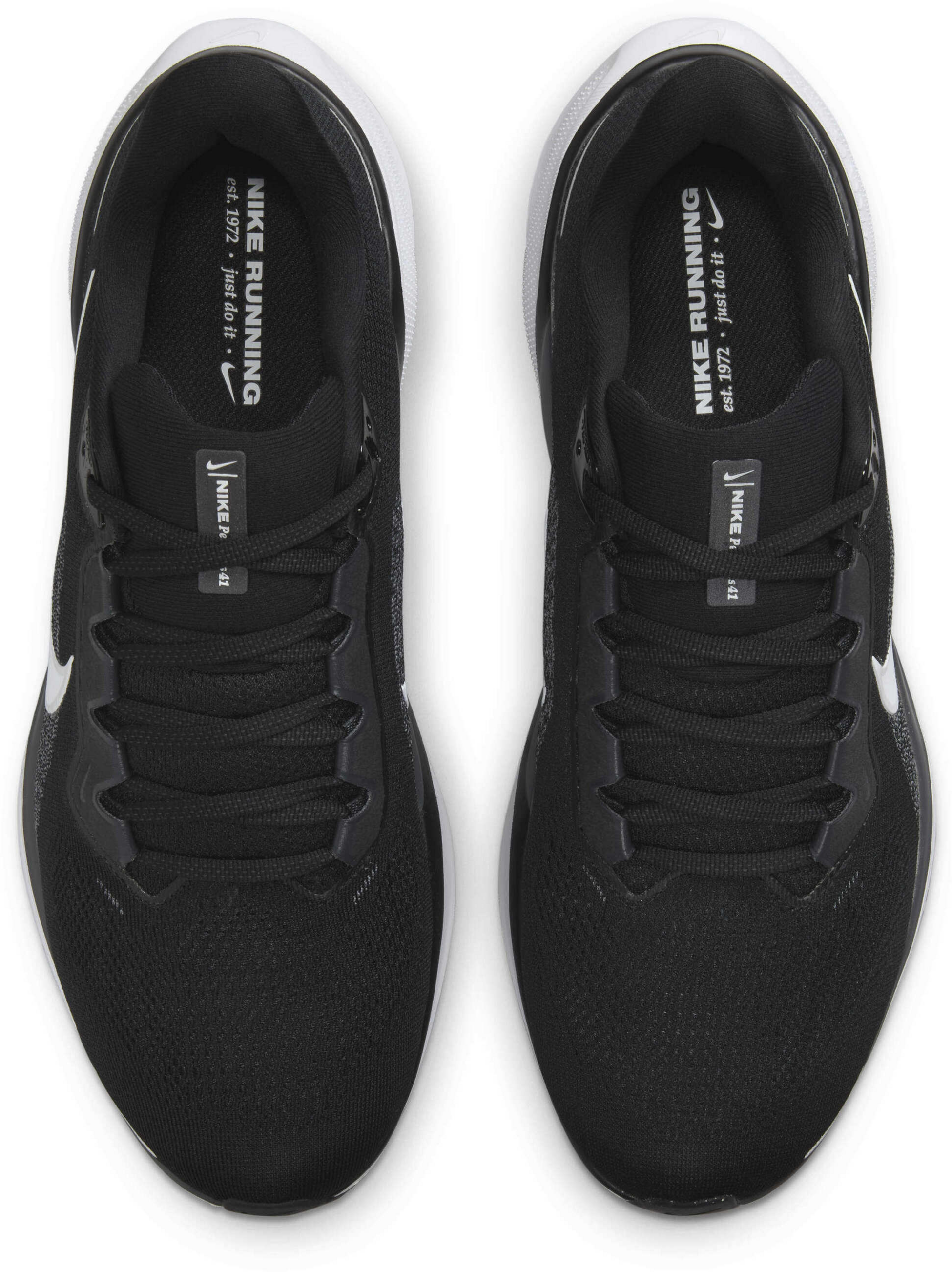NIKE, Men's Road Running Shoes Pegasus 41