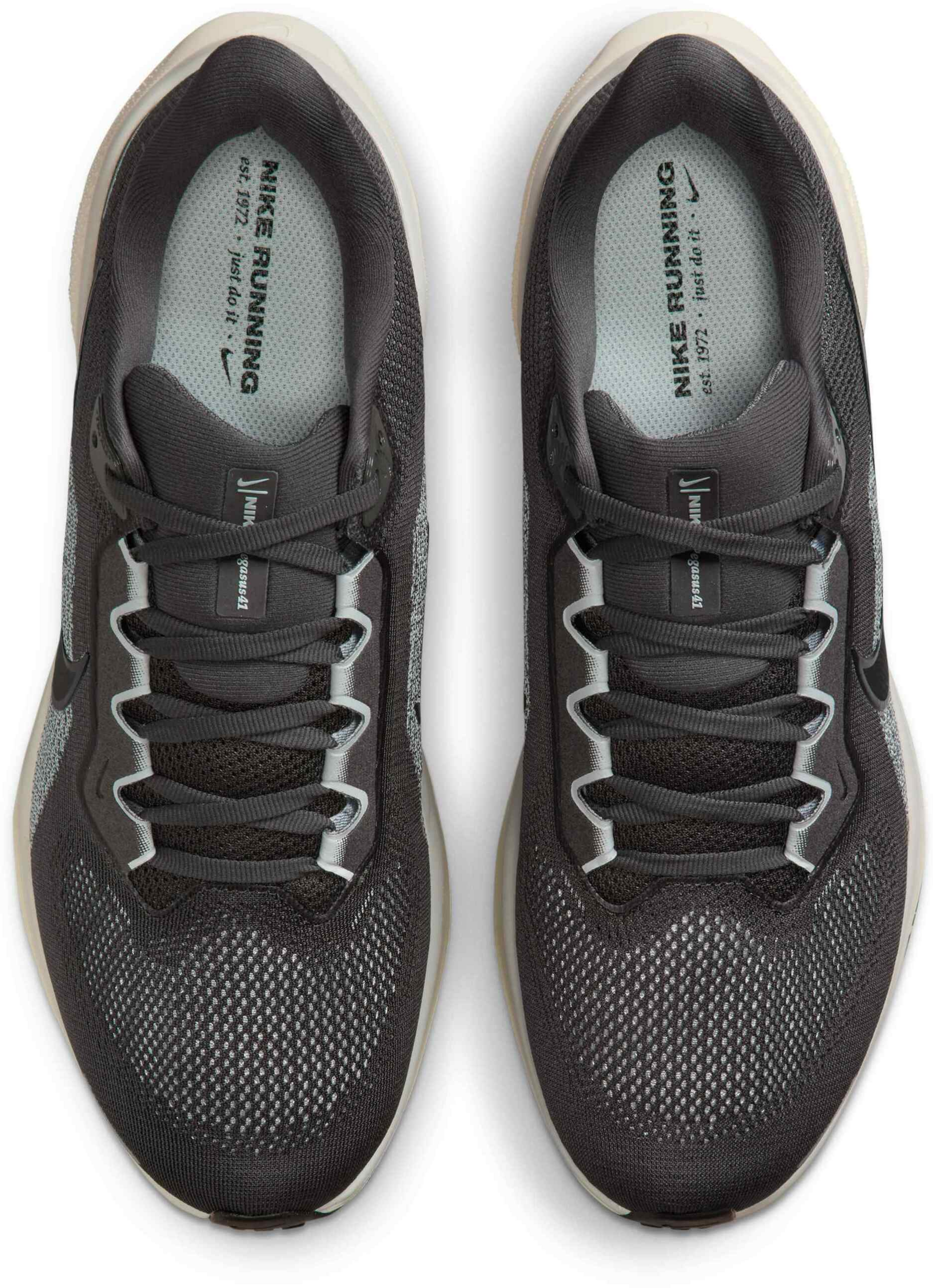 NIKE, Men's Road Running Shoes Pegasus 41