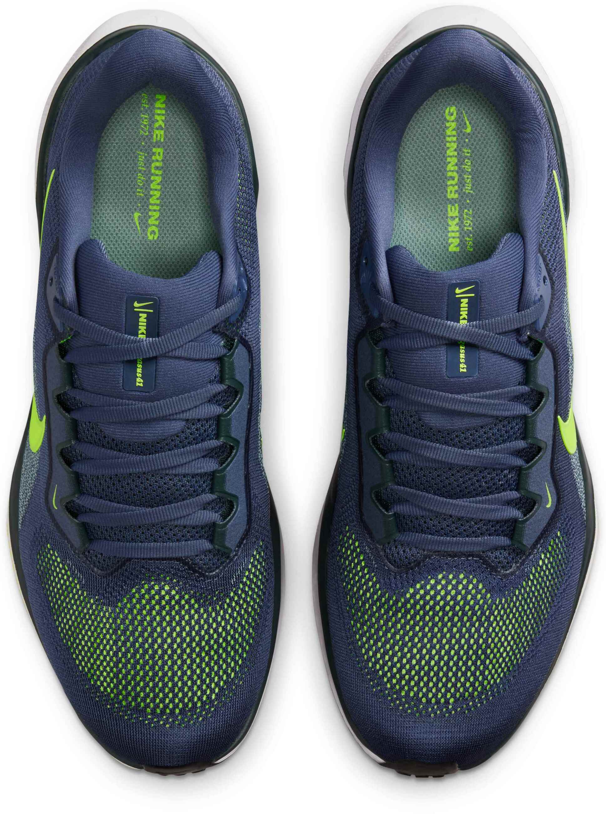 NIKE, Men's Road Running Shoes Pegasus 41