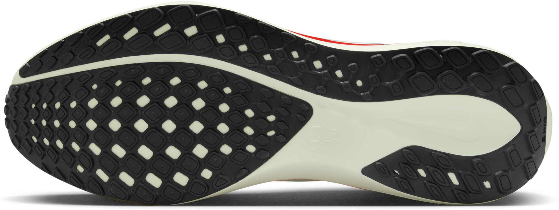 NIKE, Men's Road Running Shoes Pegasus 41