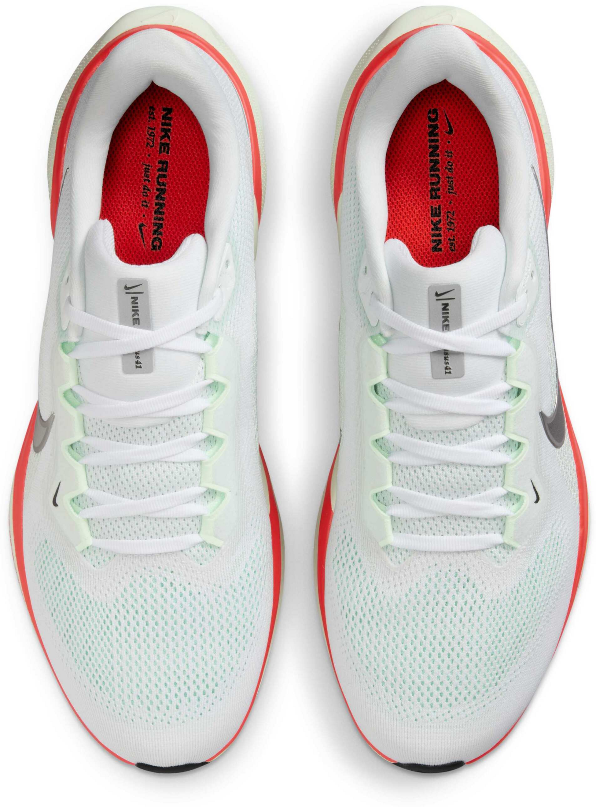 NIKE, Men's Road Running Shoes Pegasus 41