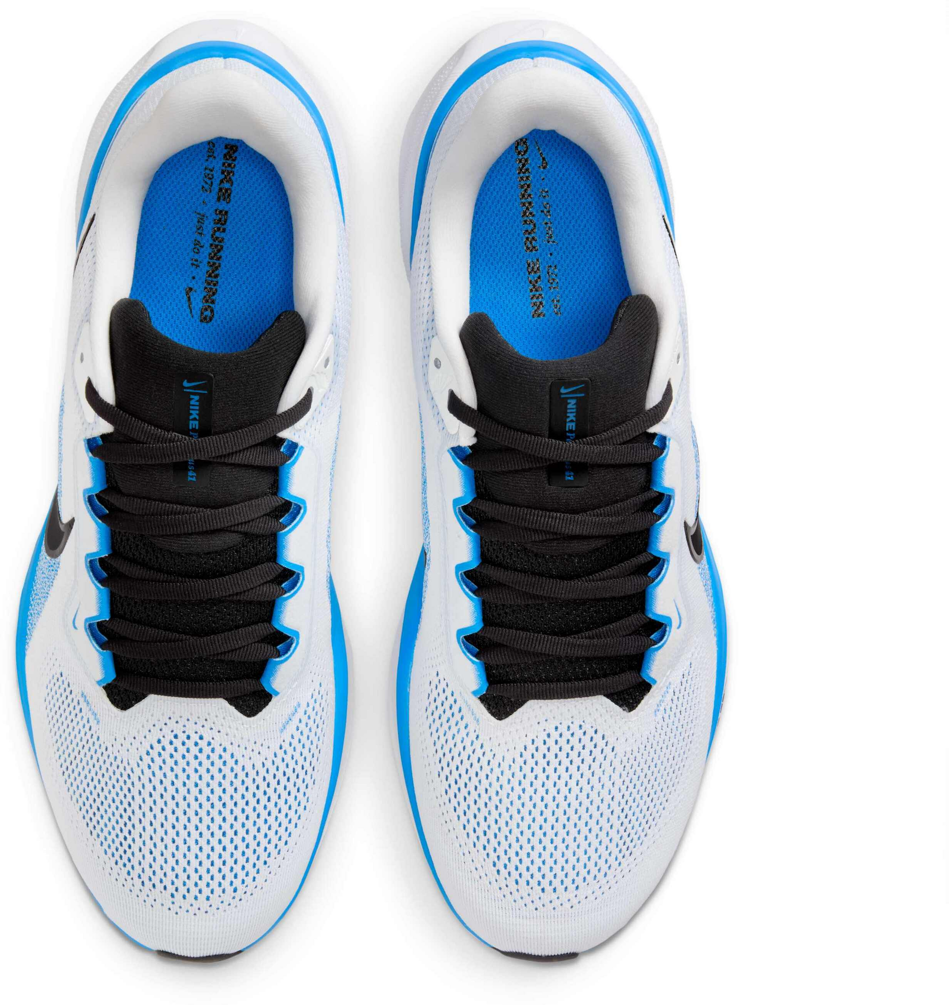 NIKE, Men's Road Running Shoes Pegasus 41