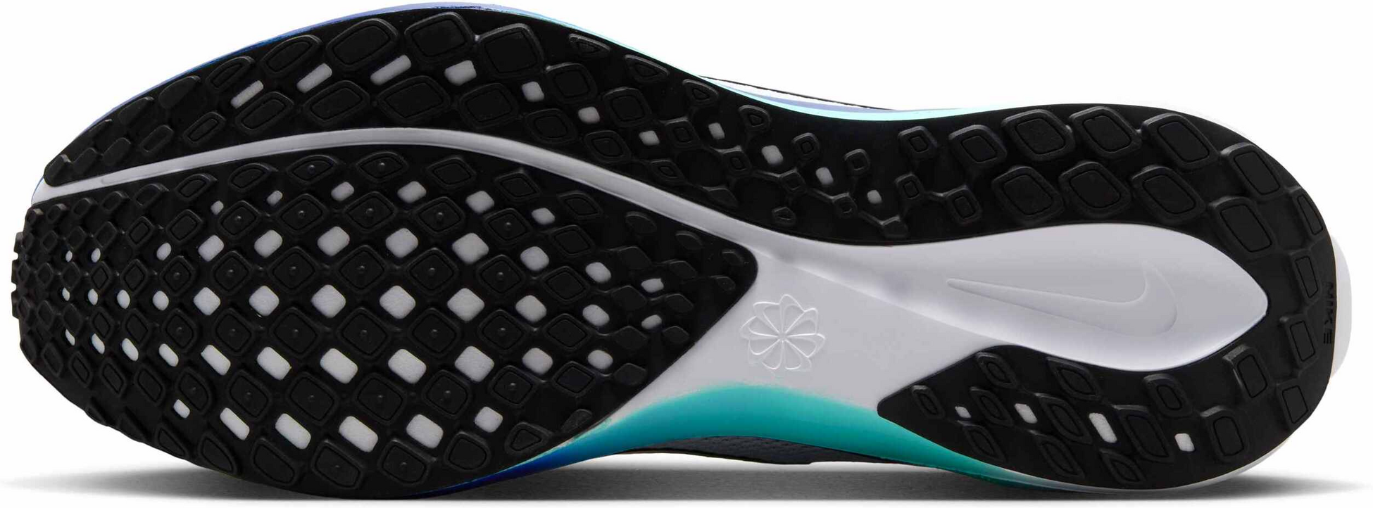 NIKE, Men's Road Running Shoes Pegasus 41