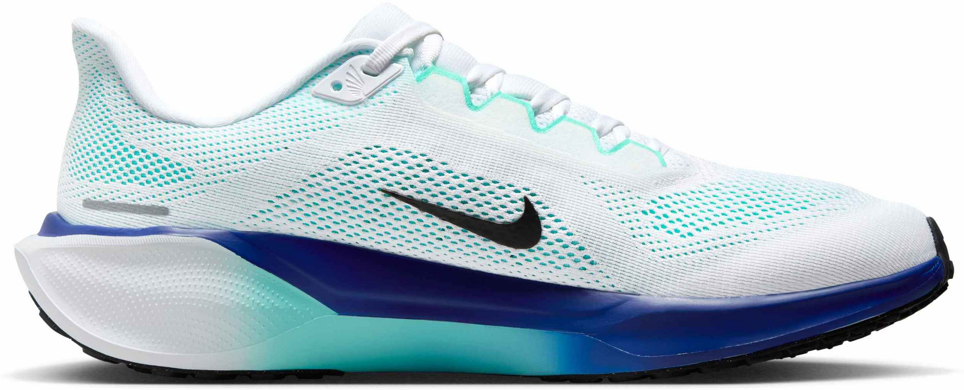 NIKE, Men's Road Running Shoes Pegasus 41