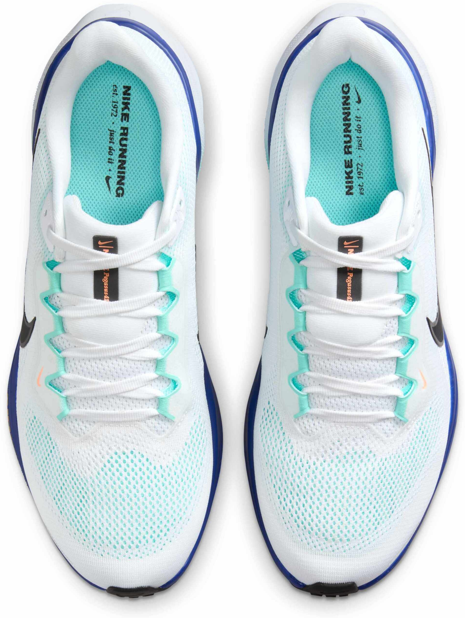 NIKE, Men's Road Running Shoes Pegasus 41