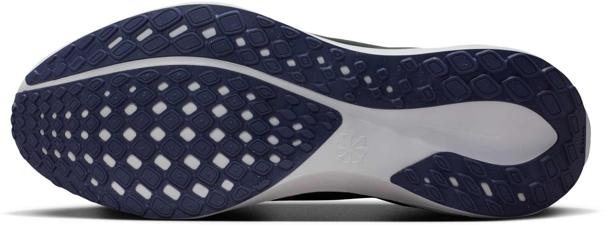 NIKE, Men's Road Running Shoes Pegasus Easyon