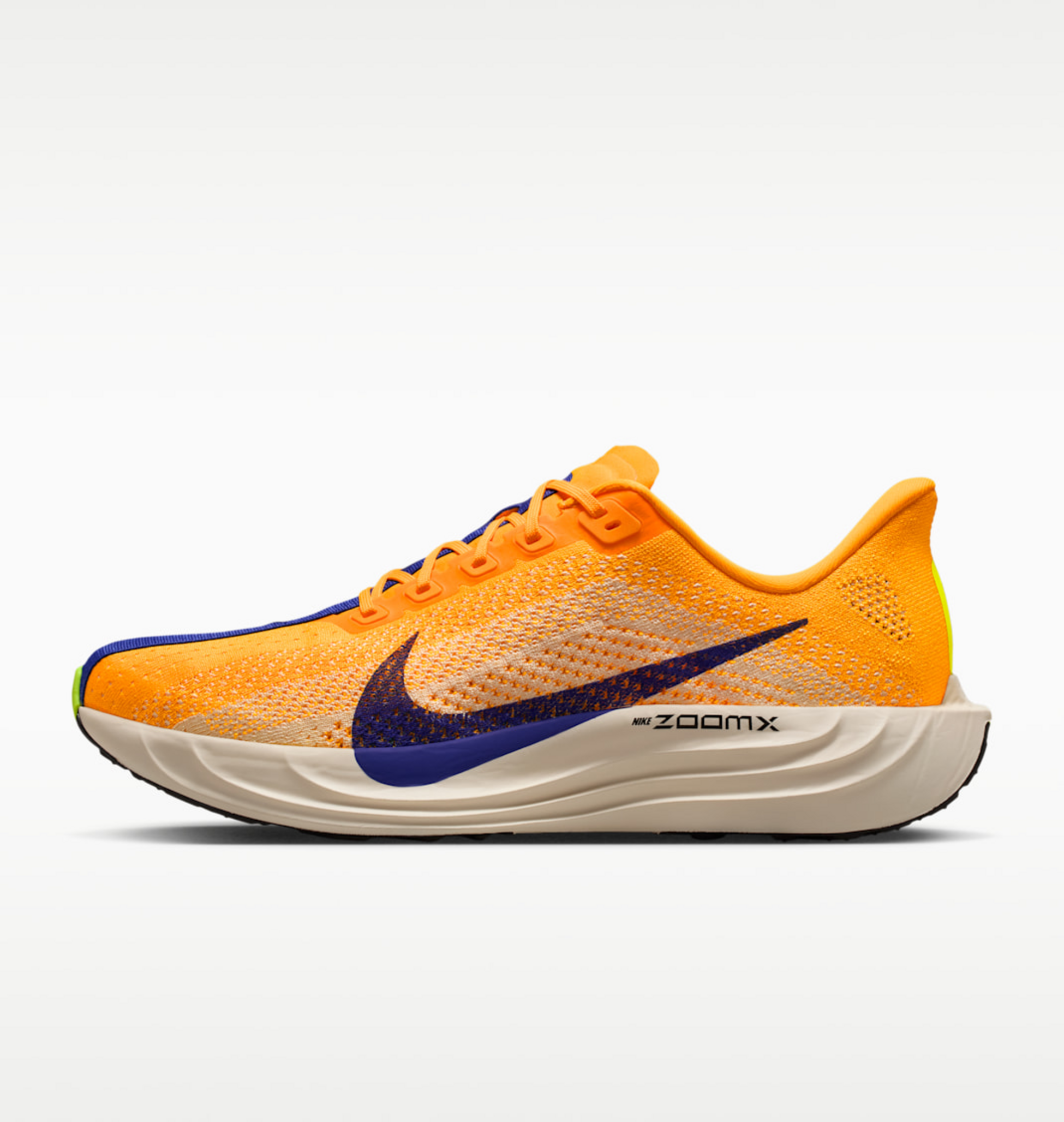 NIKE, Men's Road Running Shoes Pegasus Plus