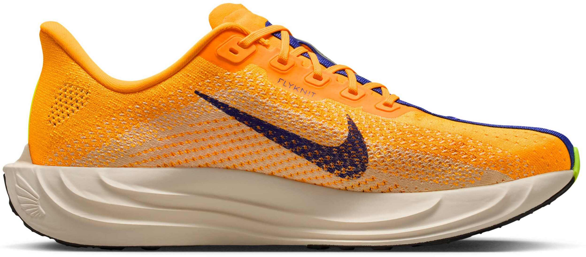 NIKE, Men's Road Running Shoes Pegasus Plus