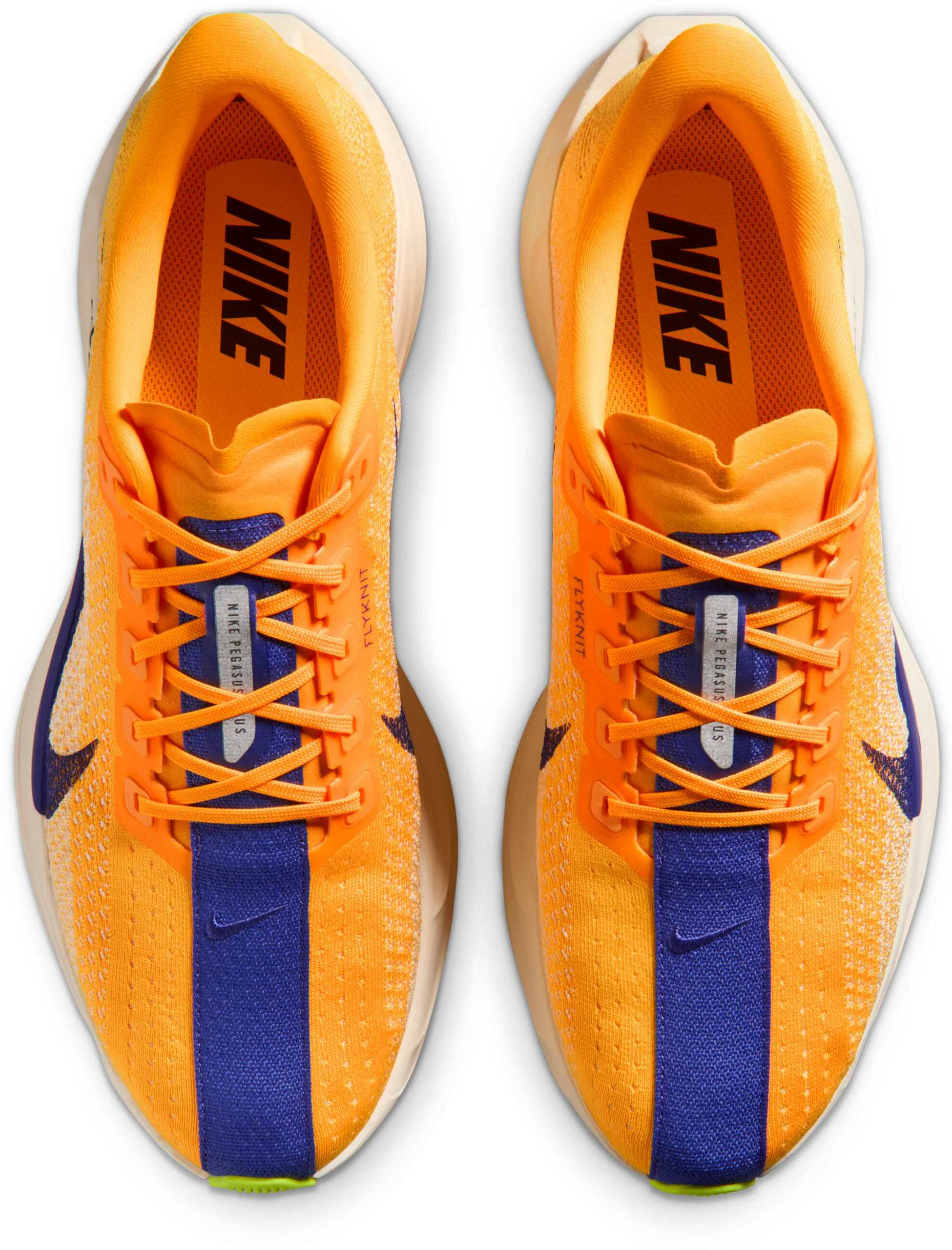 NIKE, Men's Road Running Shoes Pegasus Plus