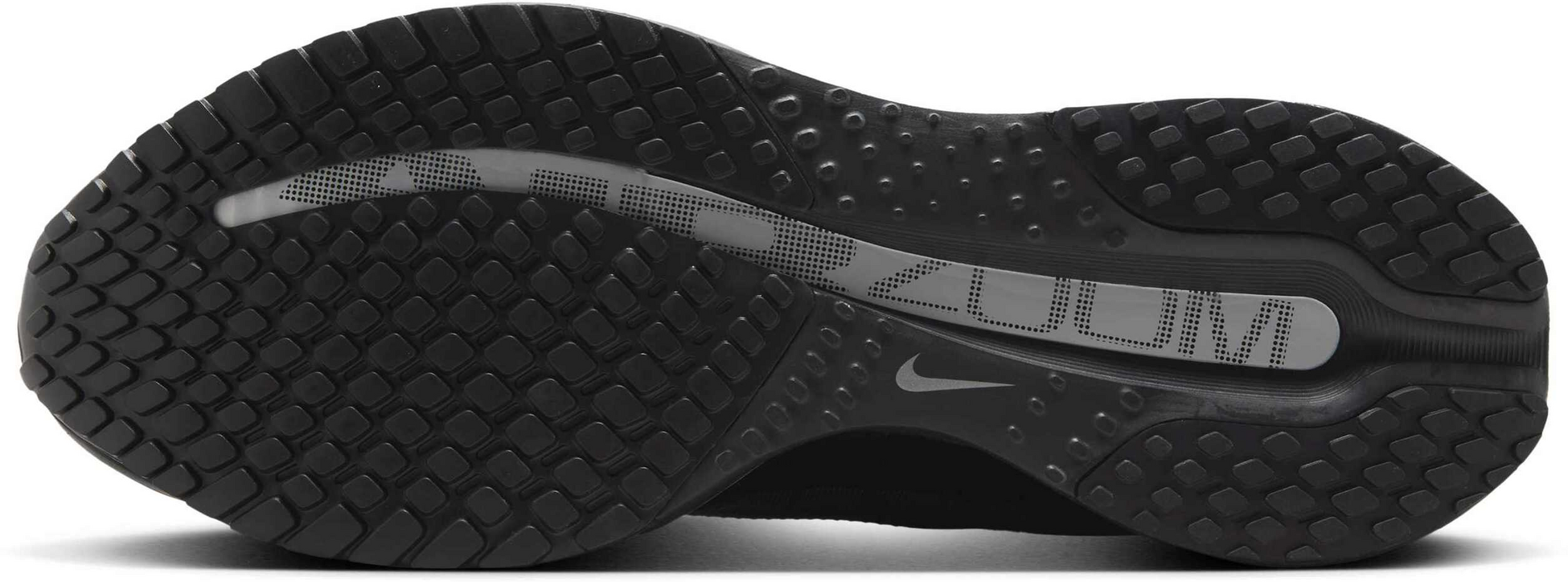 NIKE, Men's Road Running Shoes Pegasus Premium