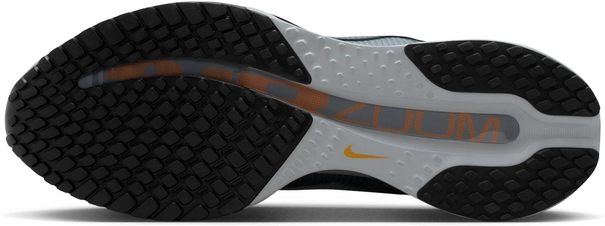 NIKE, Men's Road Running Shoes Pegasus Premium