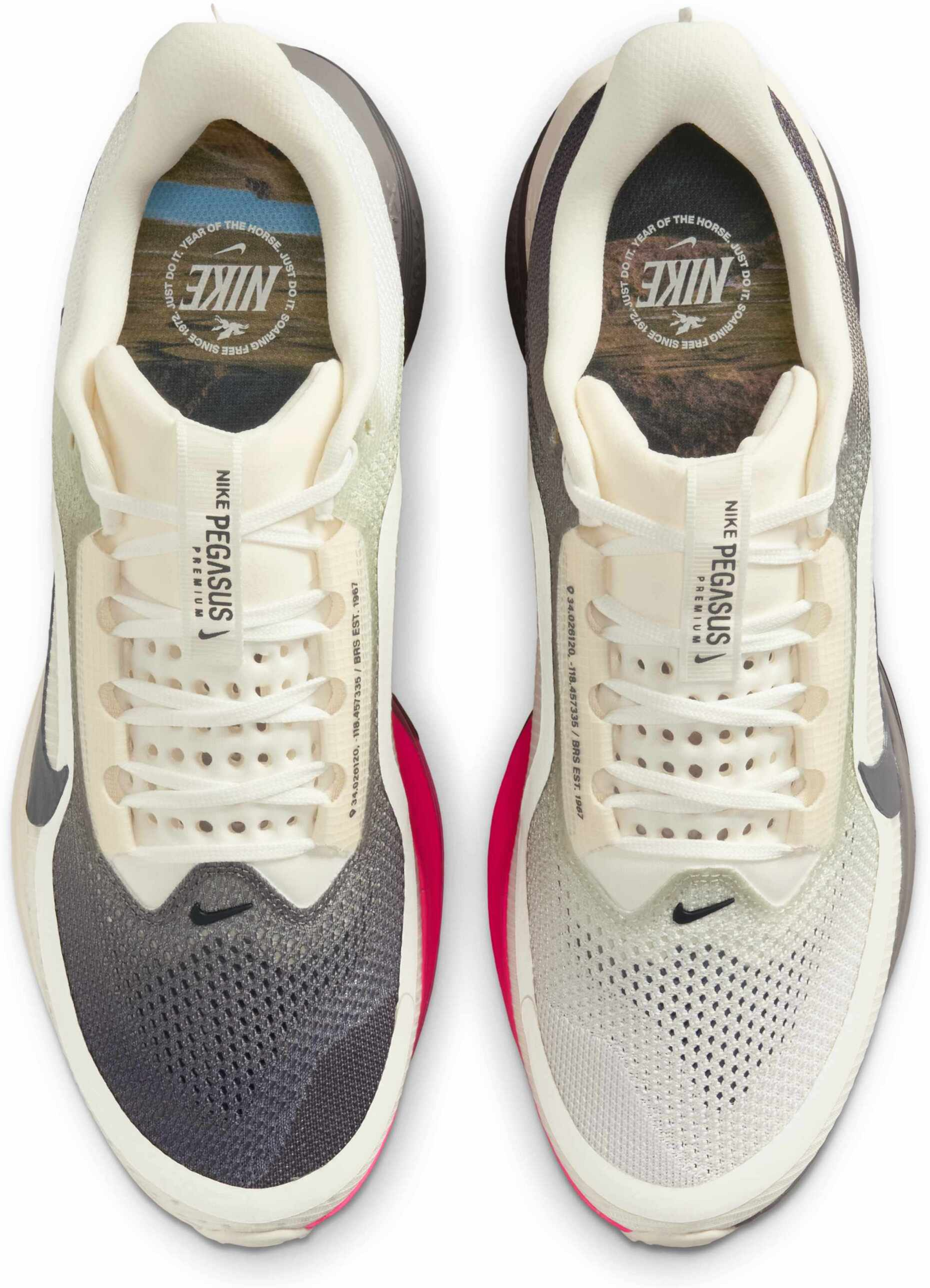 NIKE, Men's Road Running Shoes Pegasus Premium