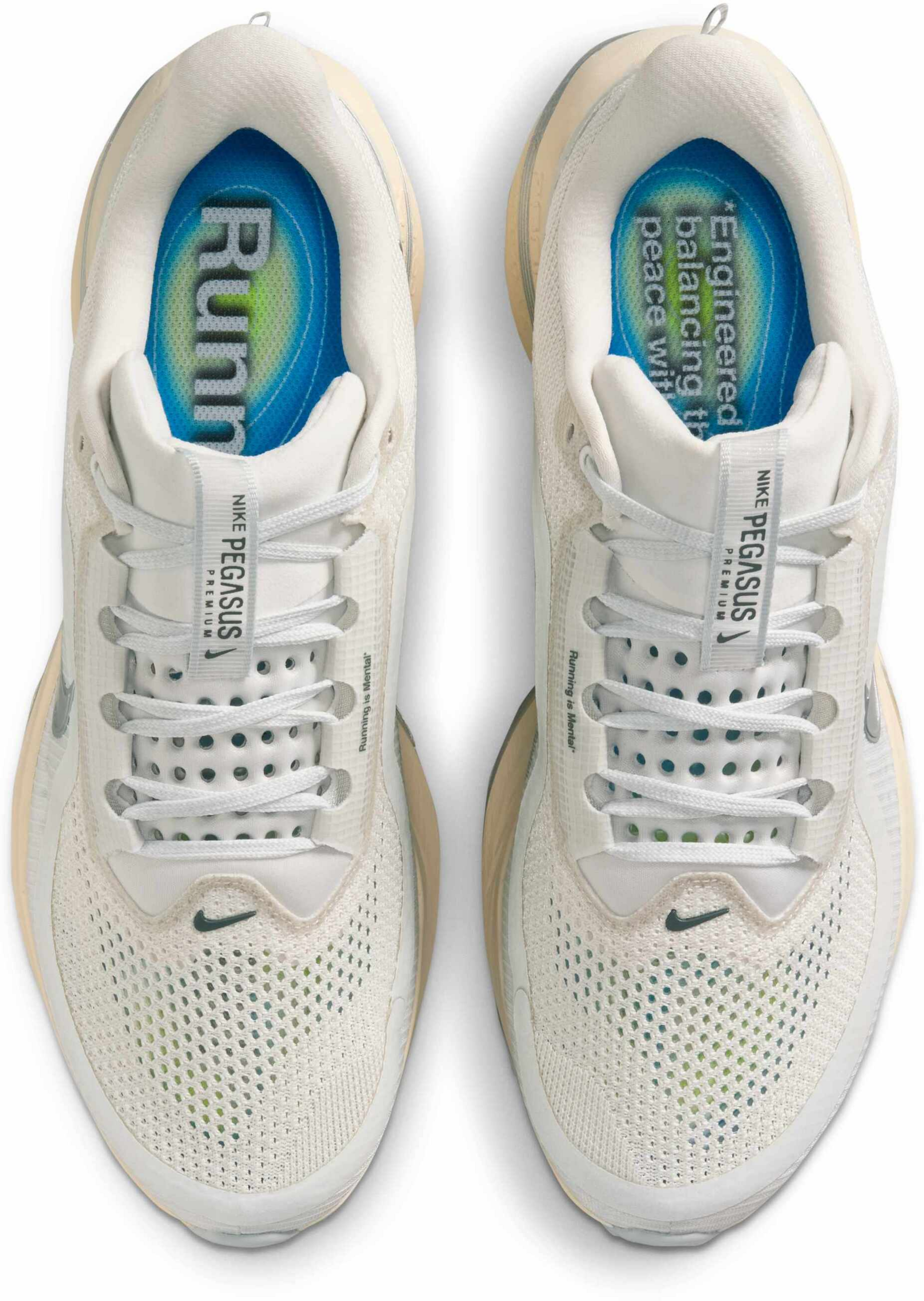 NIKE, Men's Road Running Shoes Pegasus Premium