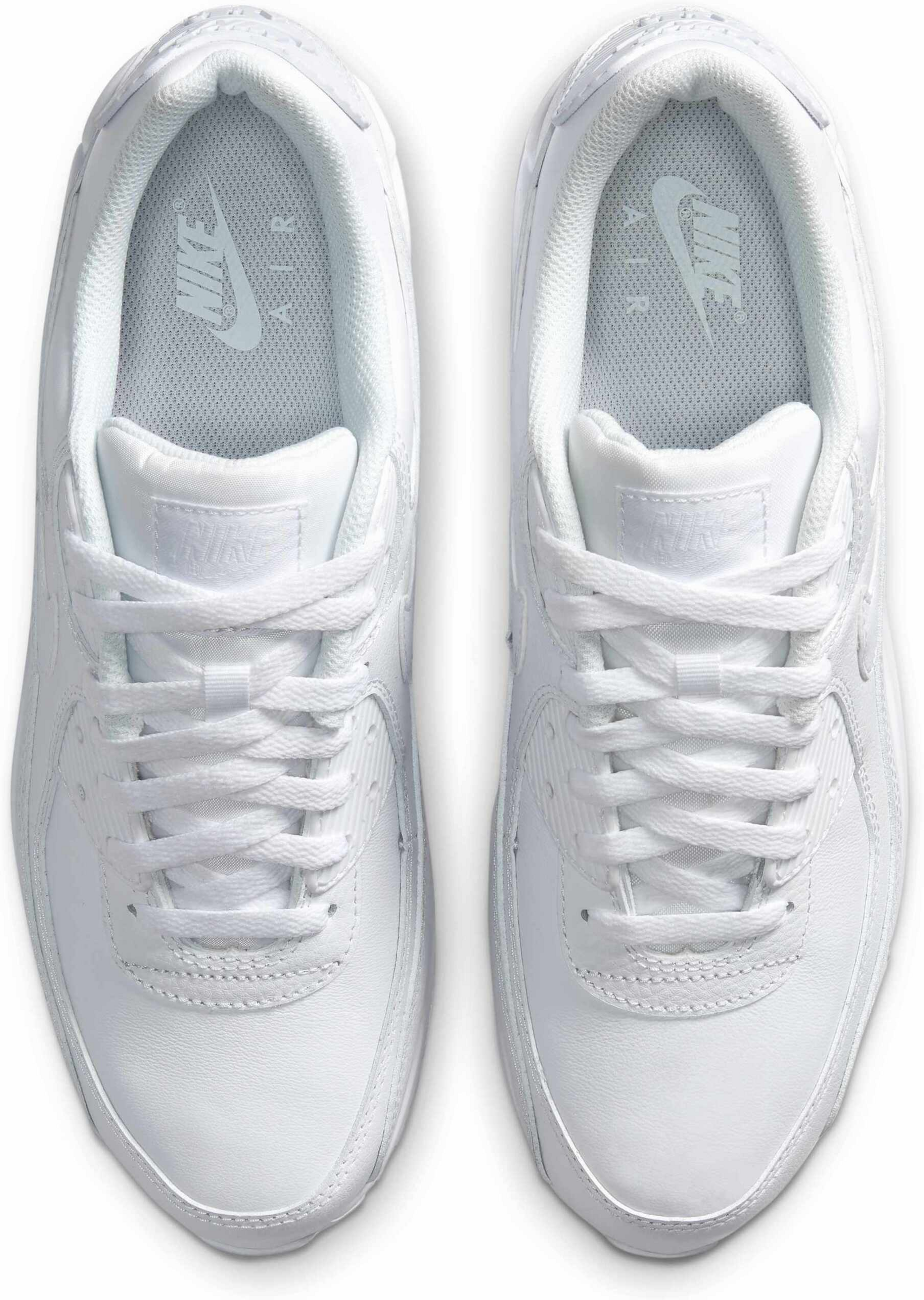 NIKE, Men's Shoes Air Max 90 Ltr