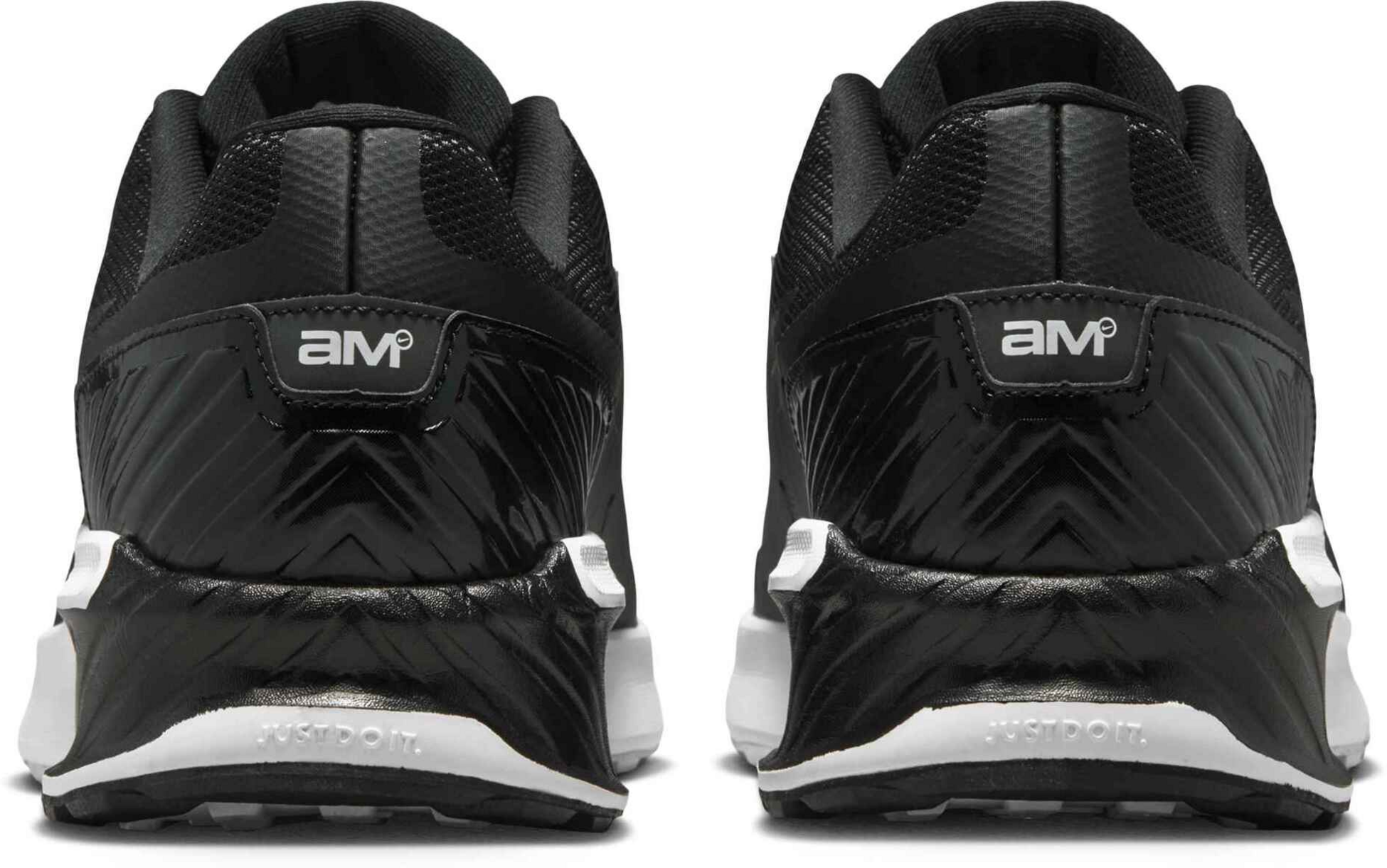 NIKE, Men's Shoes Air Max Bia