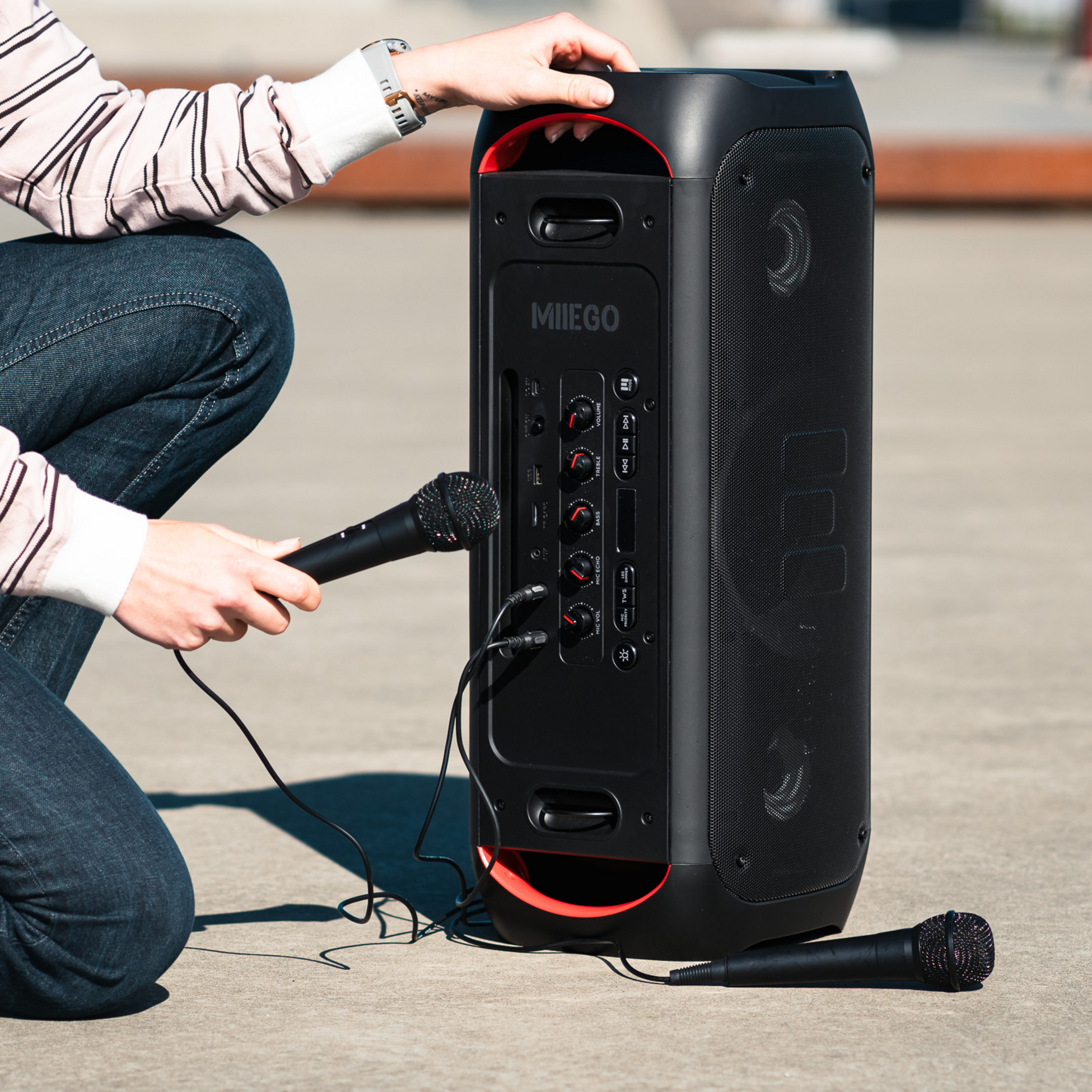 MIIEGO, Miisound Gigant