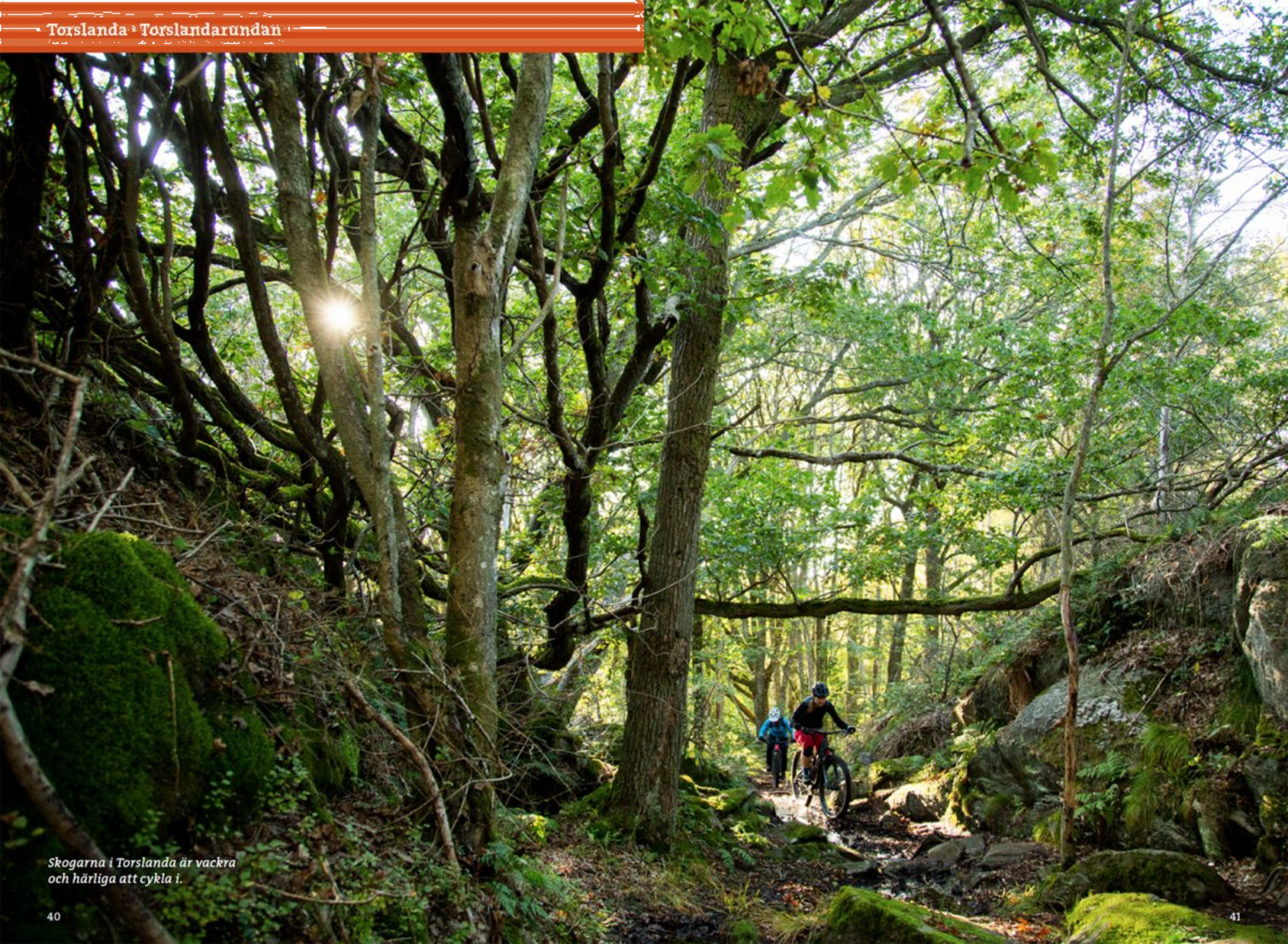 CALAZO, Mountainbike Kring G&ouml;teborg