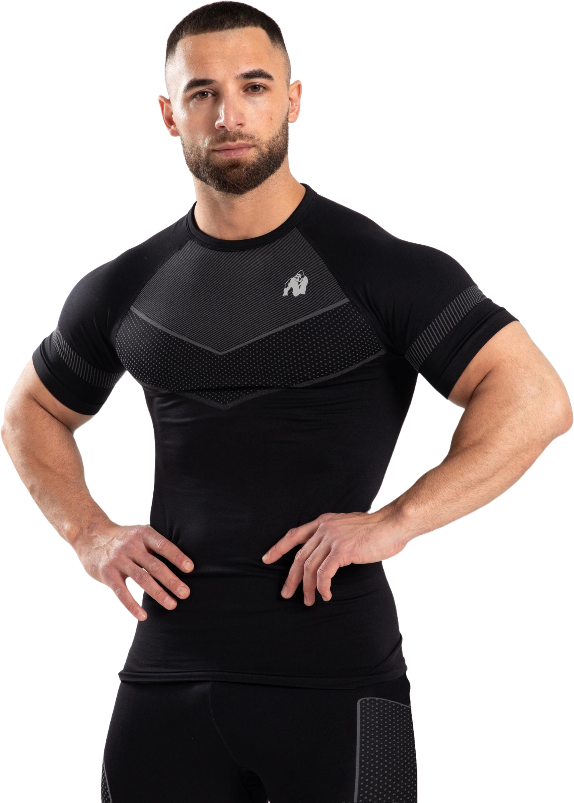 GORILLA WEAR, Norton Seamless T-shirt