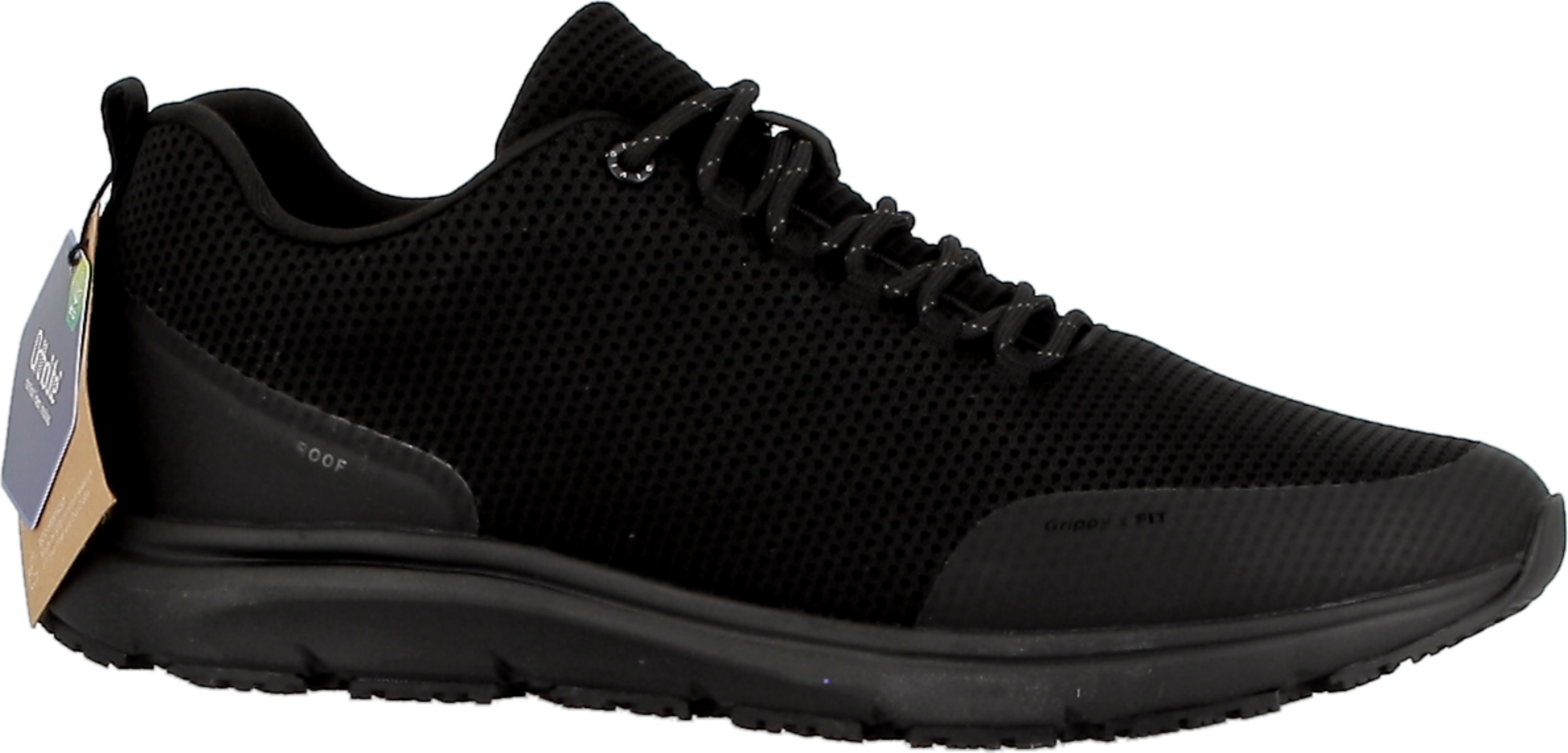 OIVIO, Oivio The Essential