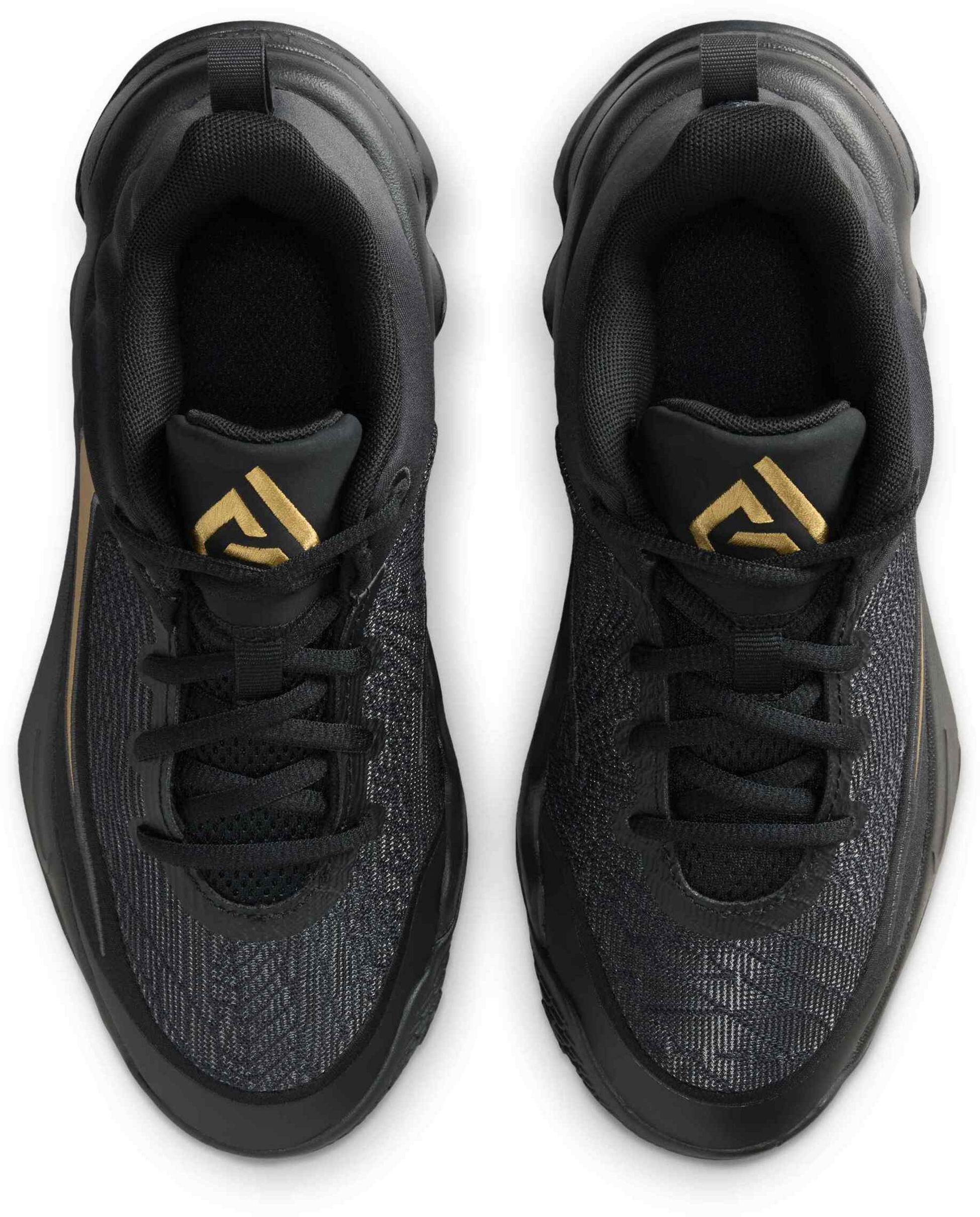 NIKE, Older Kids' Basketball Shoes Giannis Immortality 4