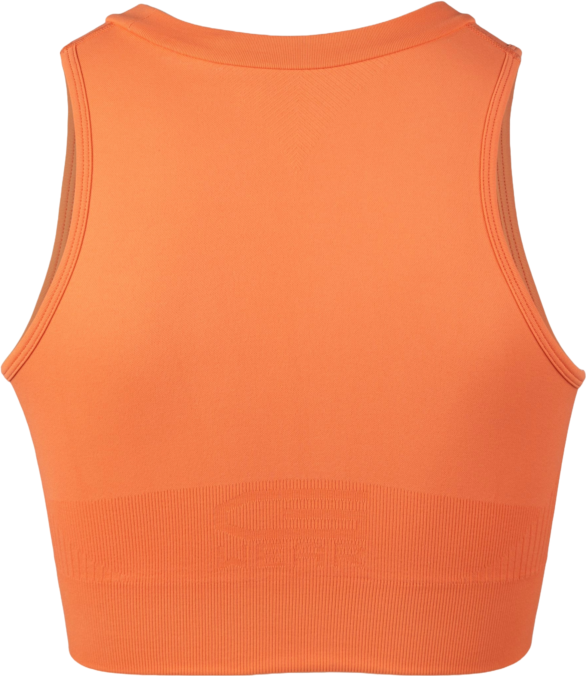 GORILLA WEAR, Olivia Seamless Crop Top