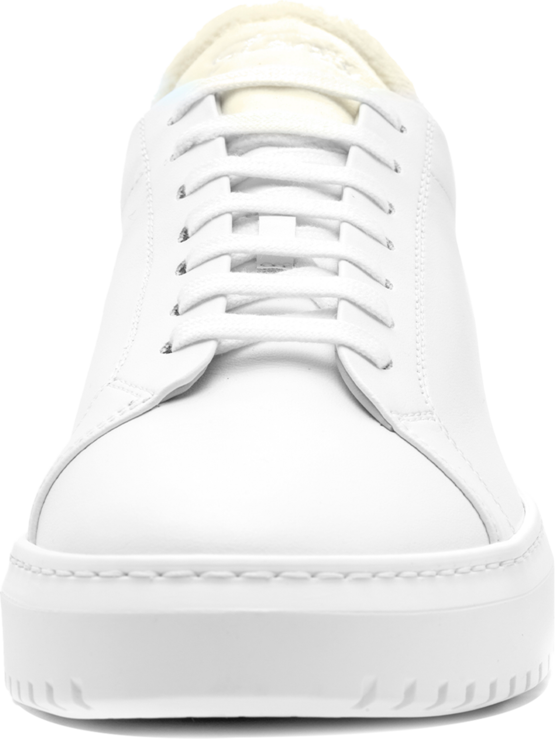 STEVE'S, Origin Snow-white