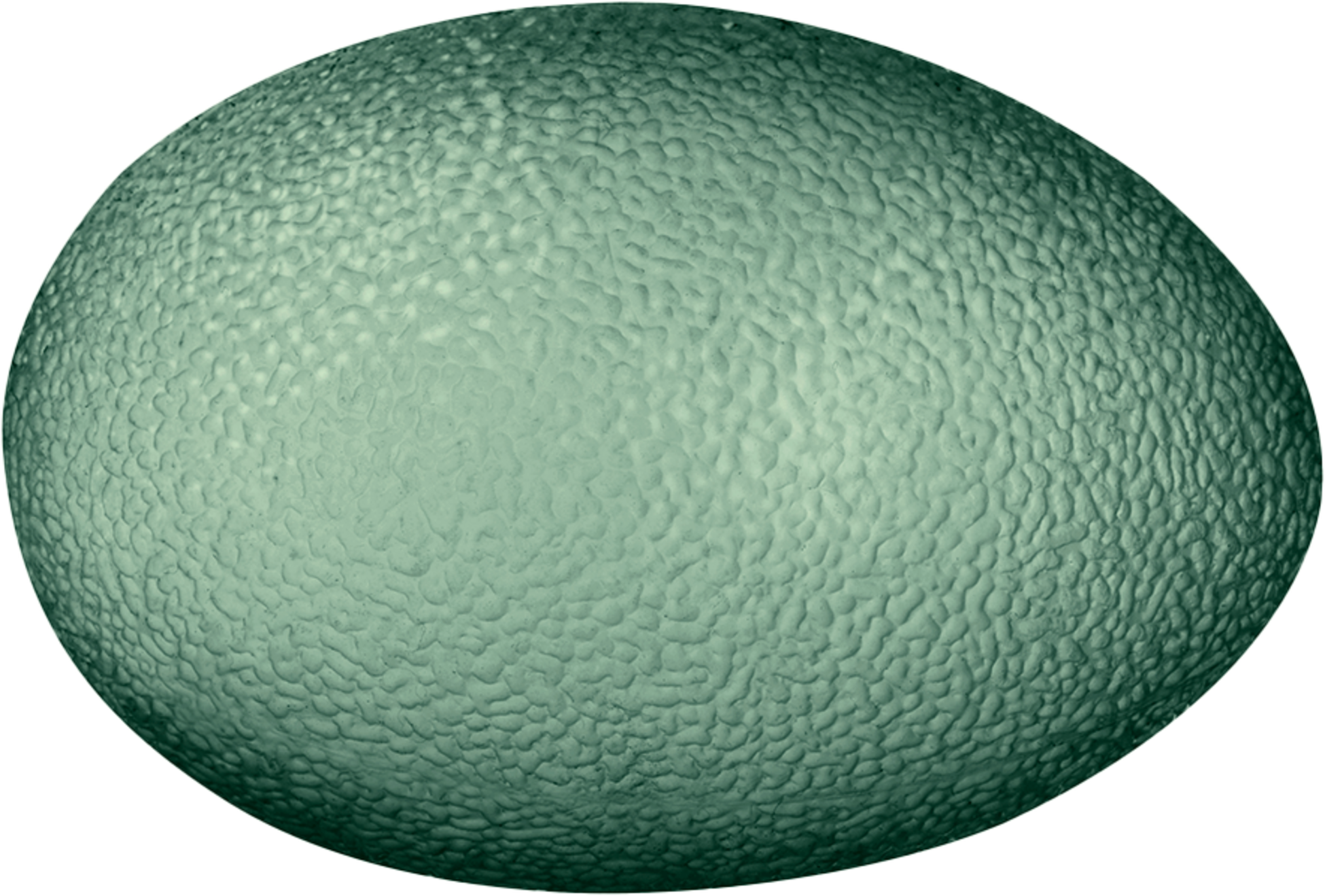 CASALL, Oval Power Grip Ball