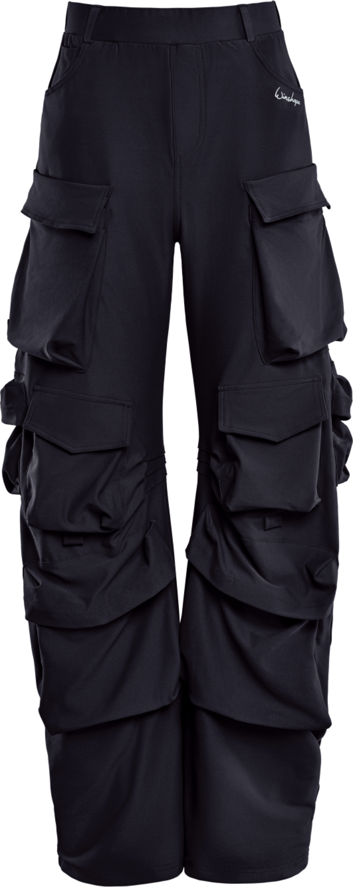 WINSHAPE, Pants Cp101c