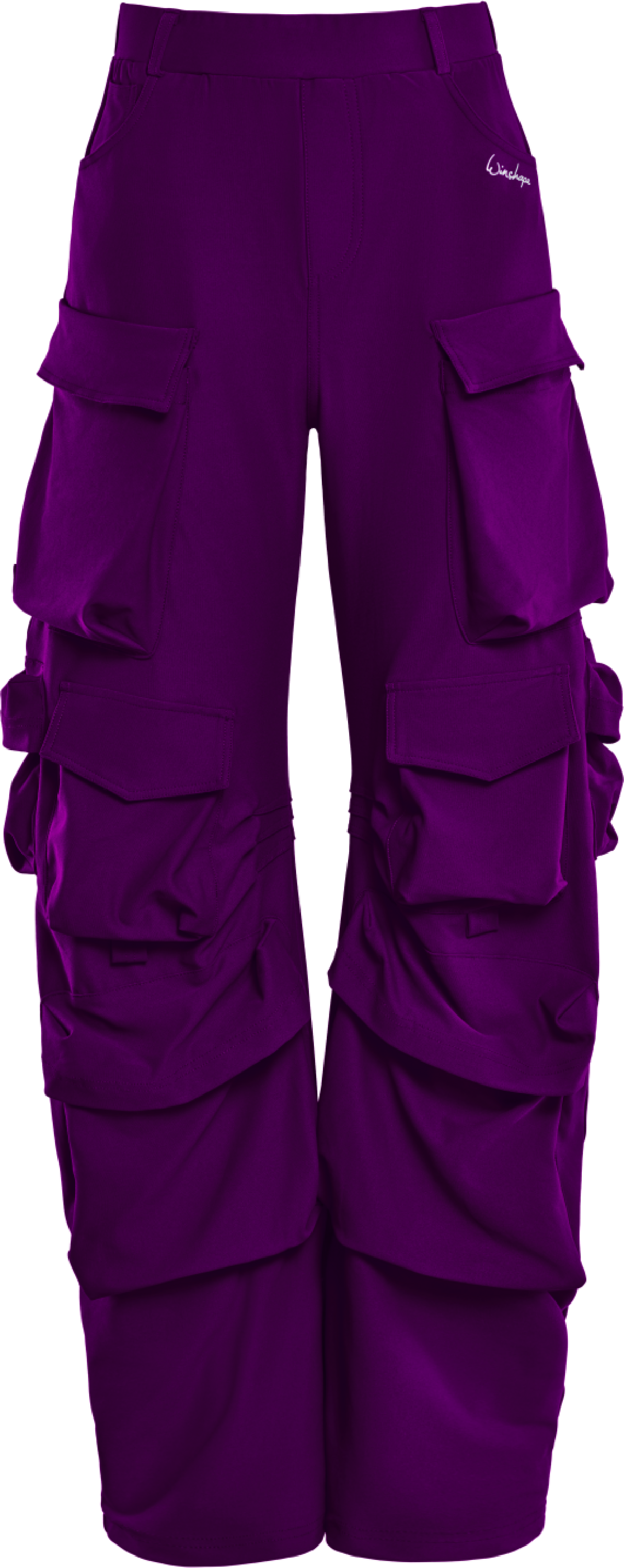 WINSHAPE, Pants Cp101c