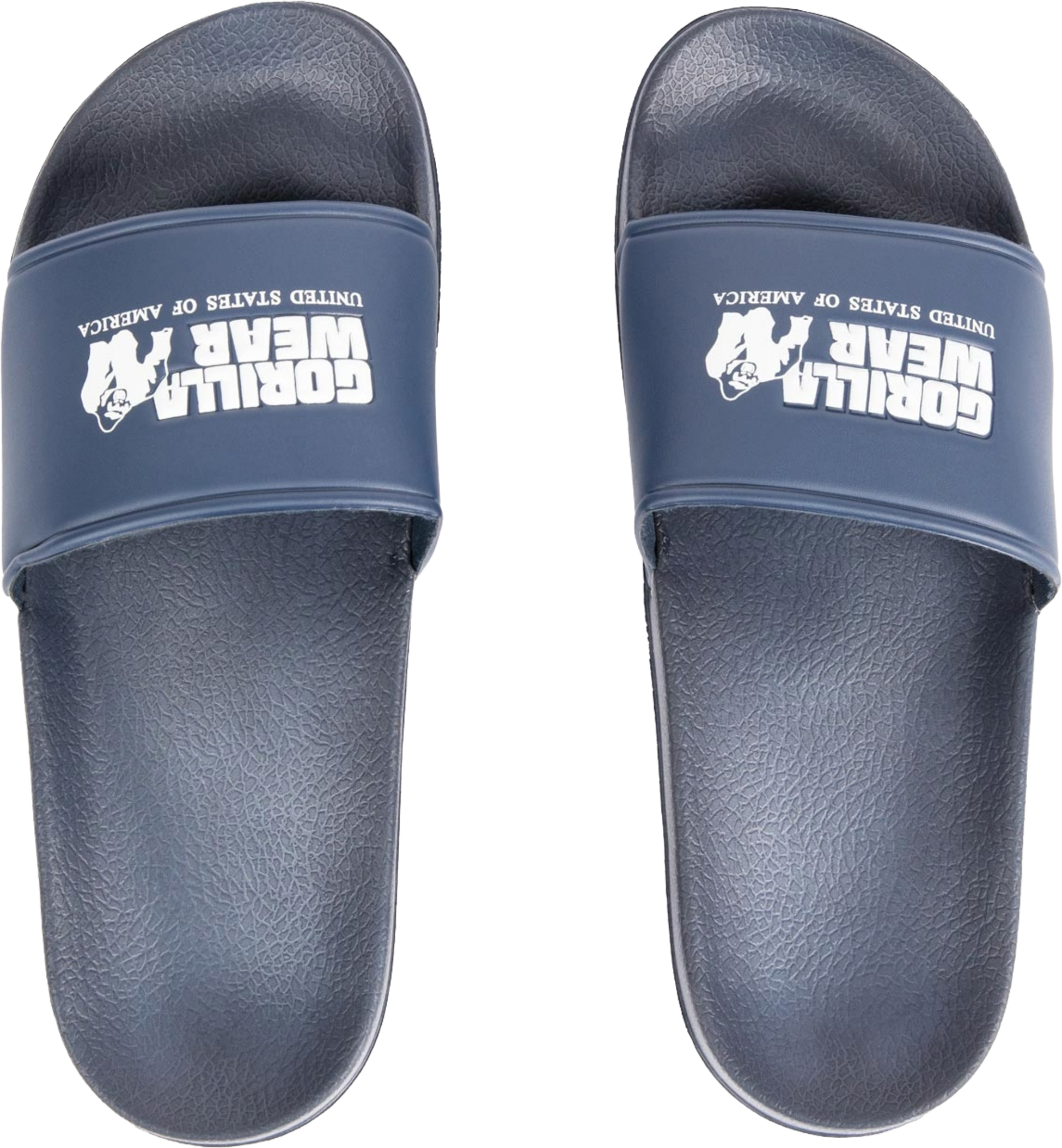 GORILLA WEAR, Pasco Slides
