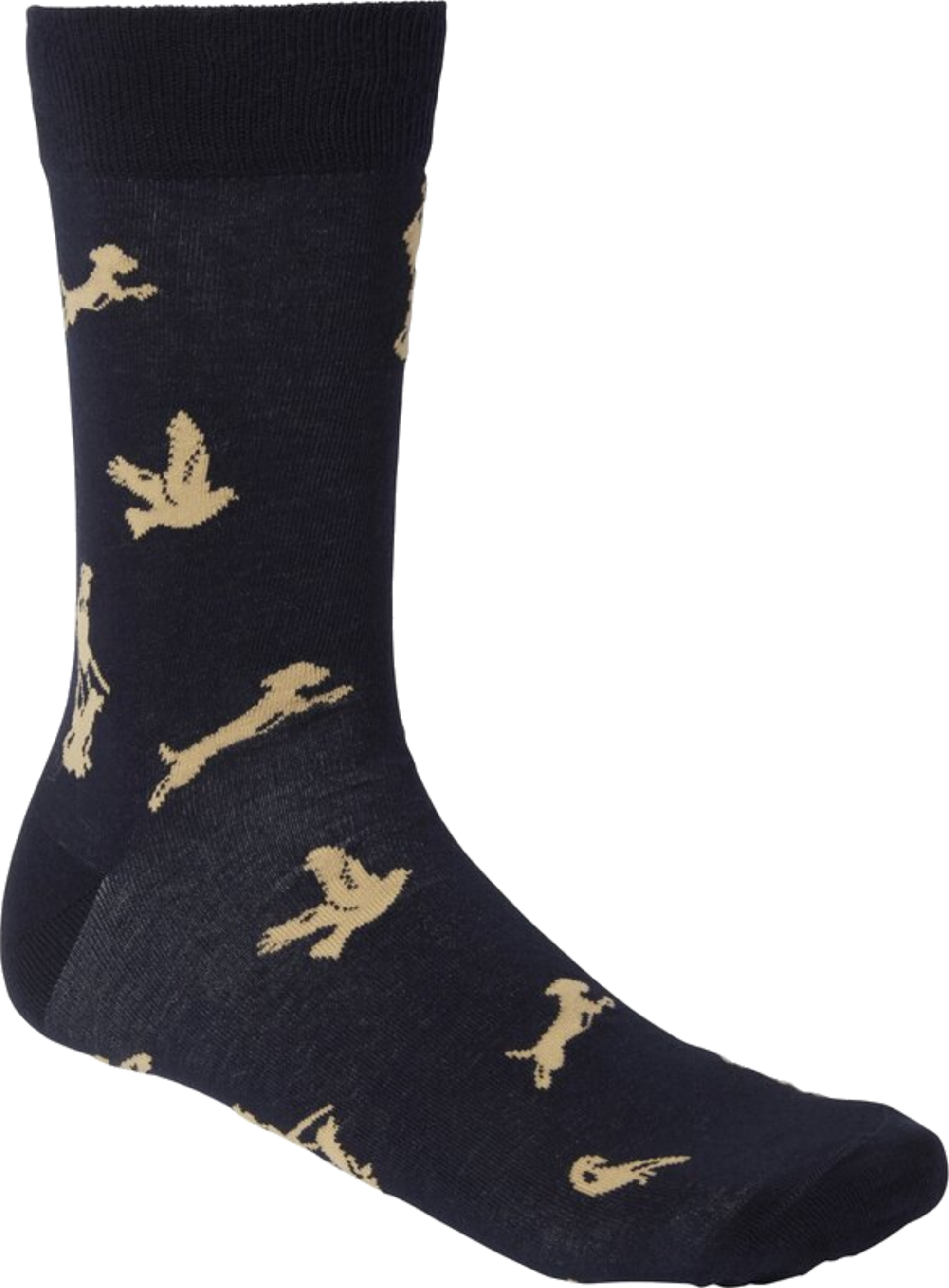 CHEVALIER, Pomeroy Socks