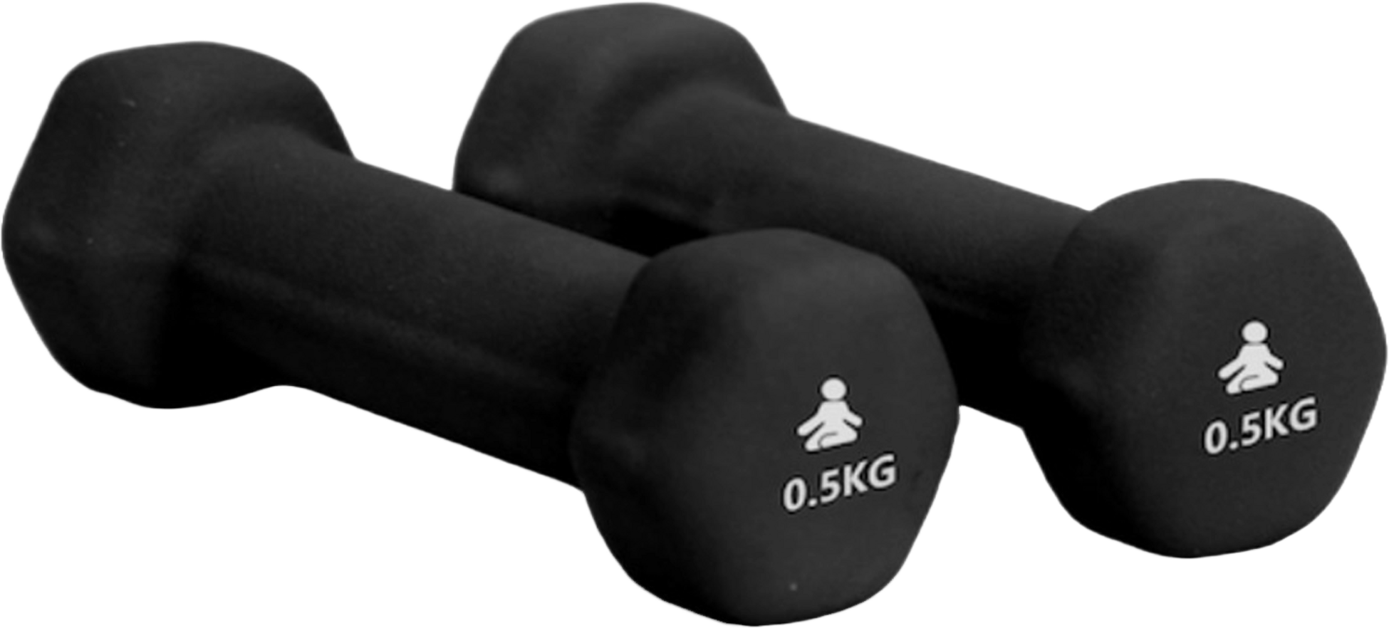 FITPADDY, Premium Dumbbells 2 X 0.5 Kg
