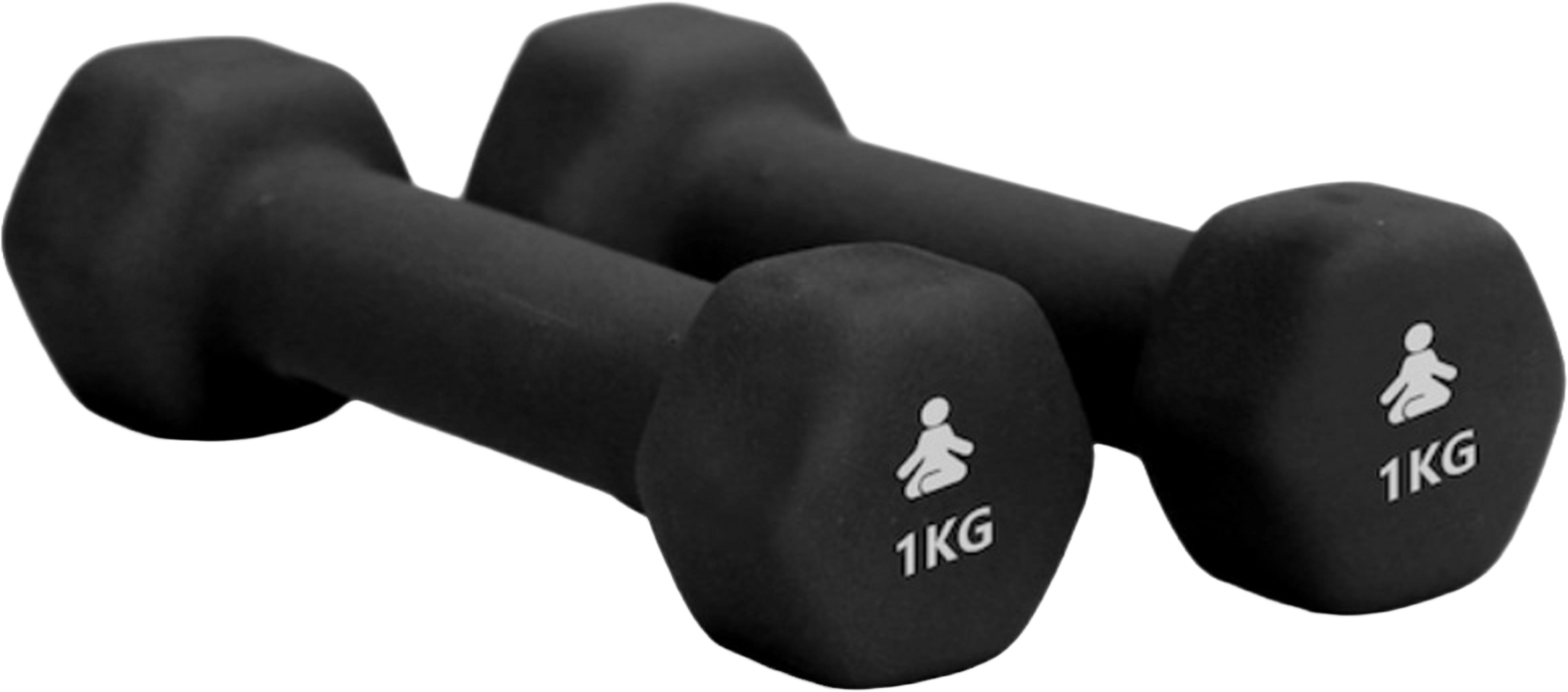 FITPADDY, Premium Dumbbells 2 X 1 Kg