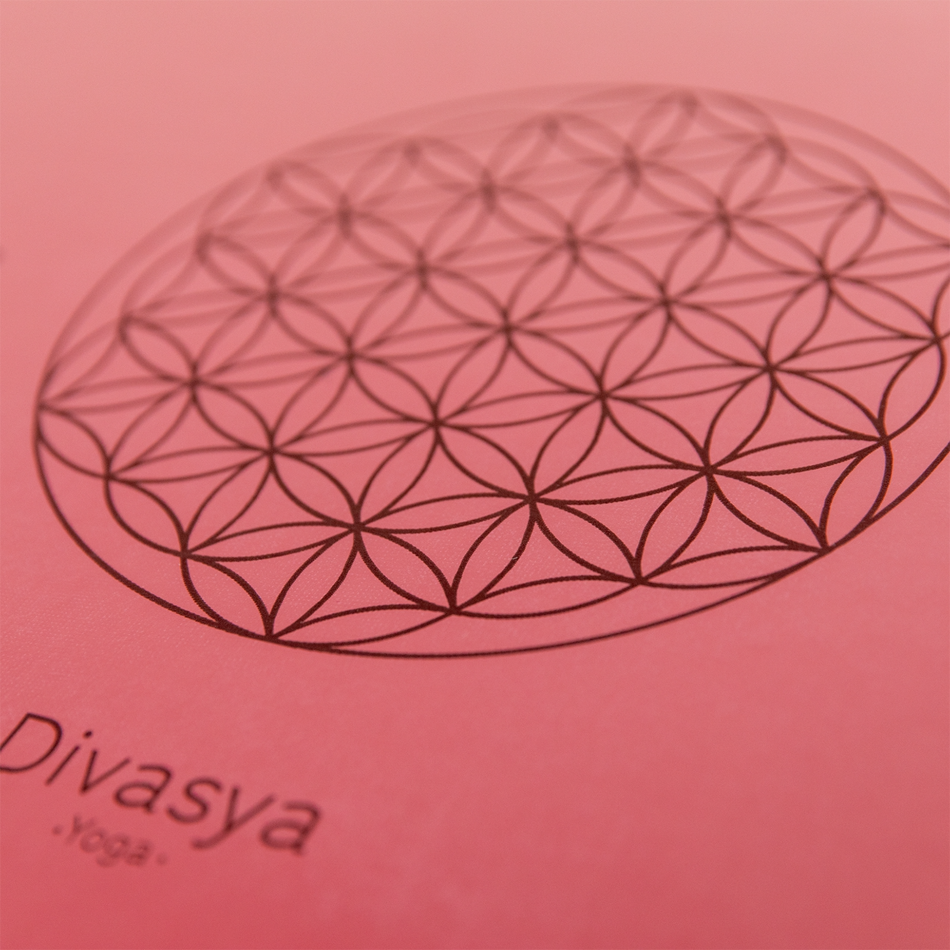 DIVASYA, Professional Grip