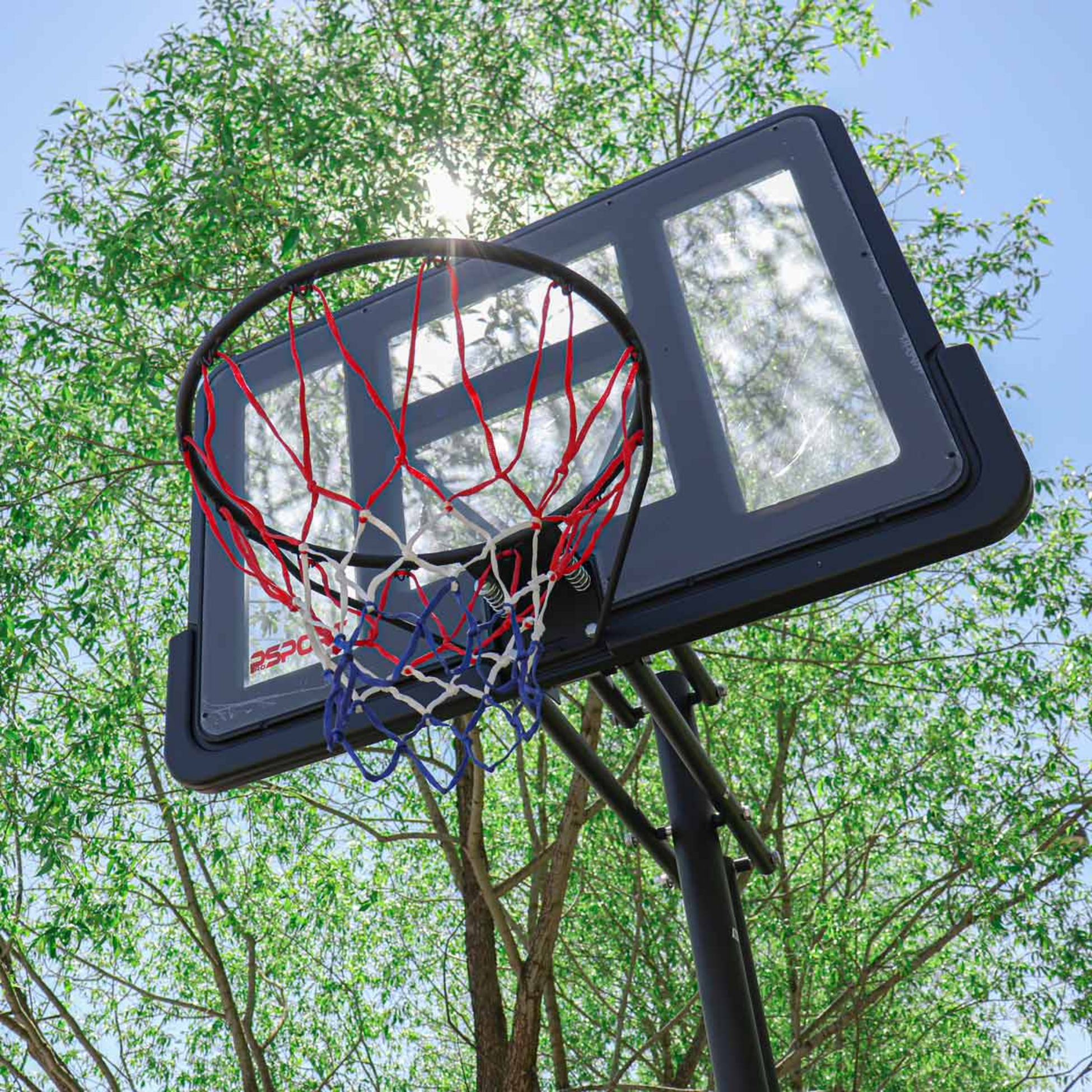 PROSPORT, Prosport Basketball Hoop Premium 2,3 - 3,05m