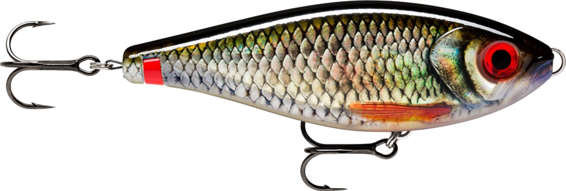 RAPALA, Rapala X-rap Haku 14cm - Live Roach