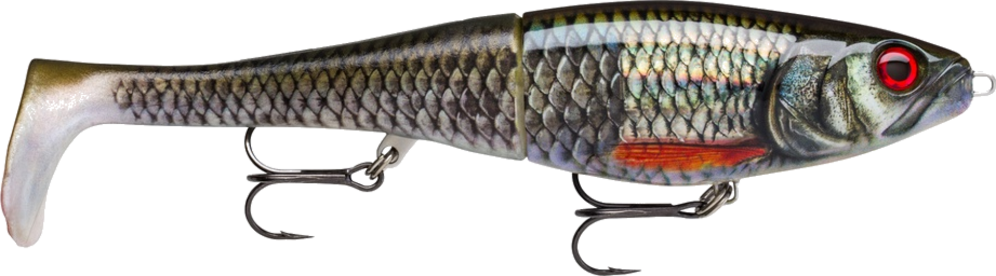 RAPALA, Rapala X-rap Peto 14cm - Live Roach