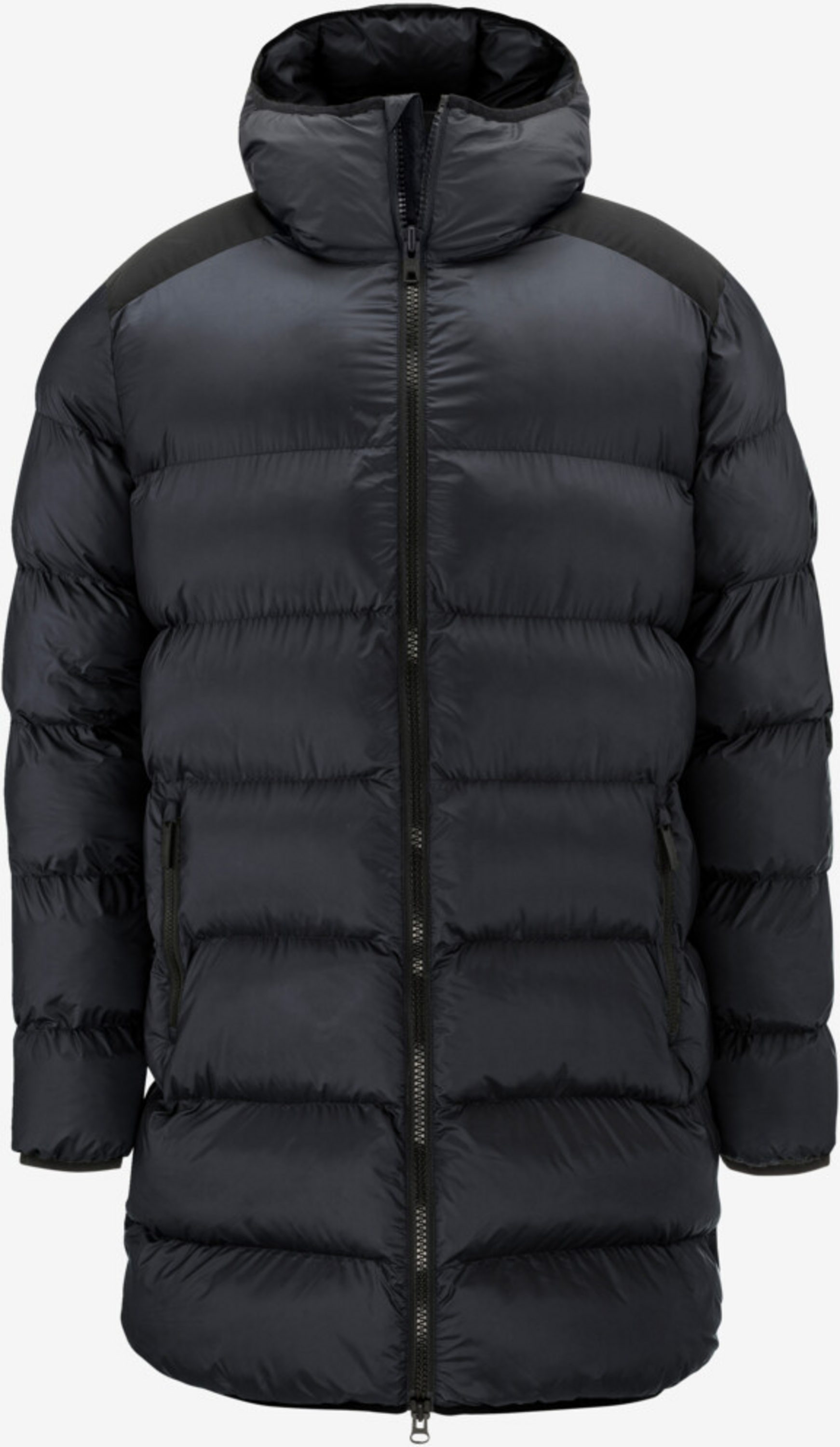 HEAD, Rebels Star Coat