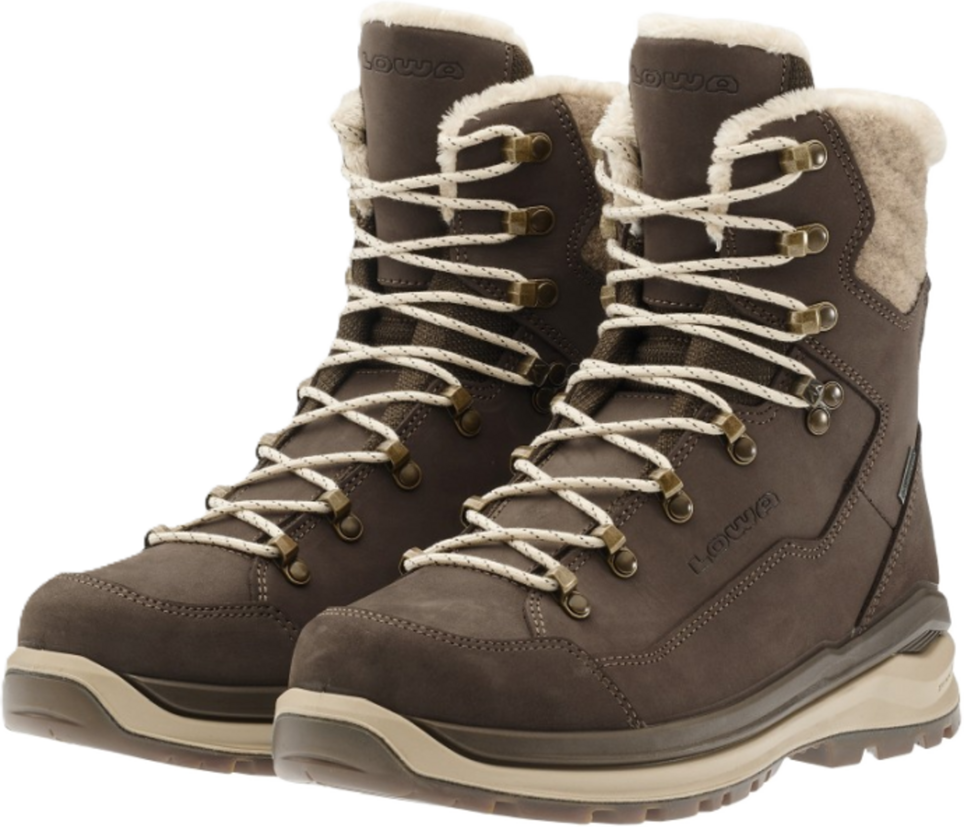 LOWA, Renegade Evo Ice 2 Gtx Ws