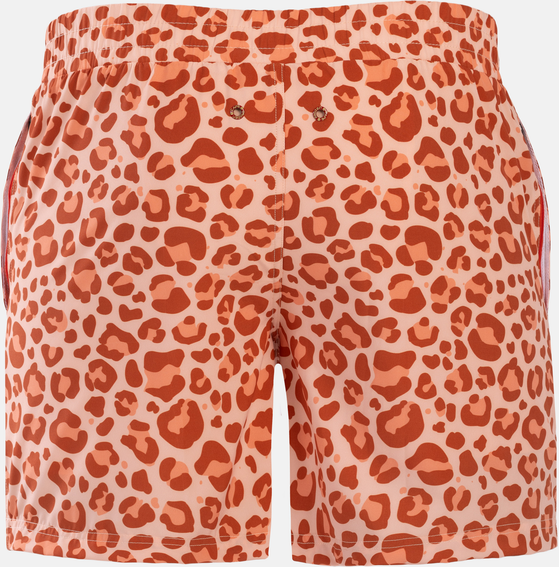 FROZEN CAPE, Ribeira