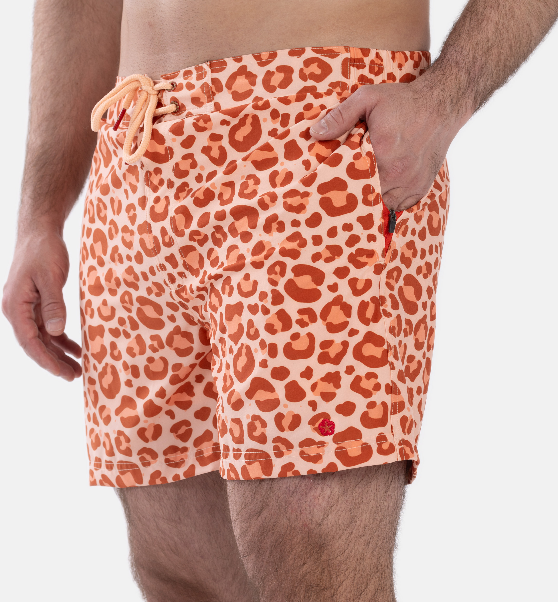 FROZEN CAPE, Ribeira