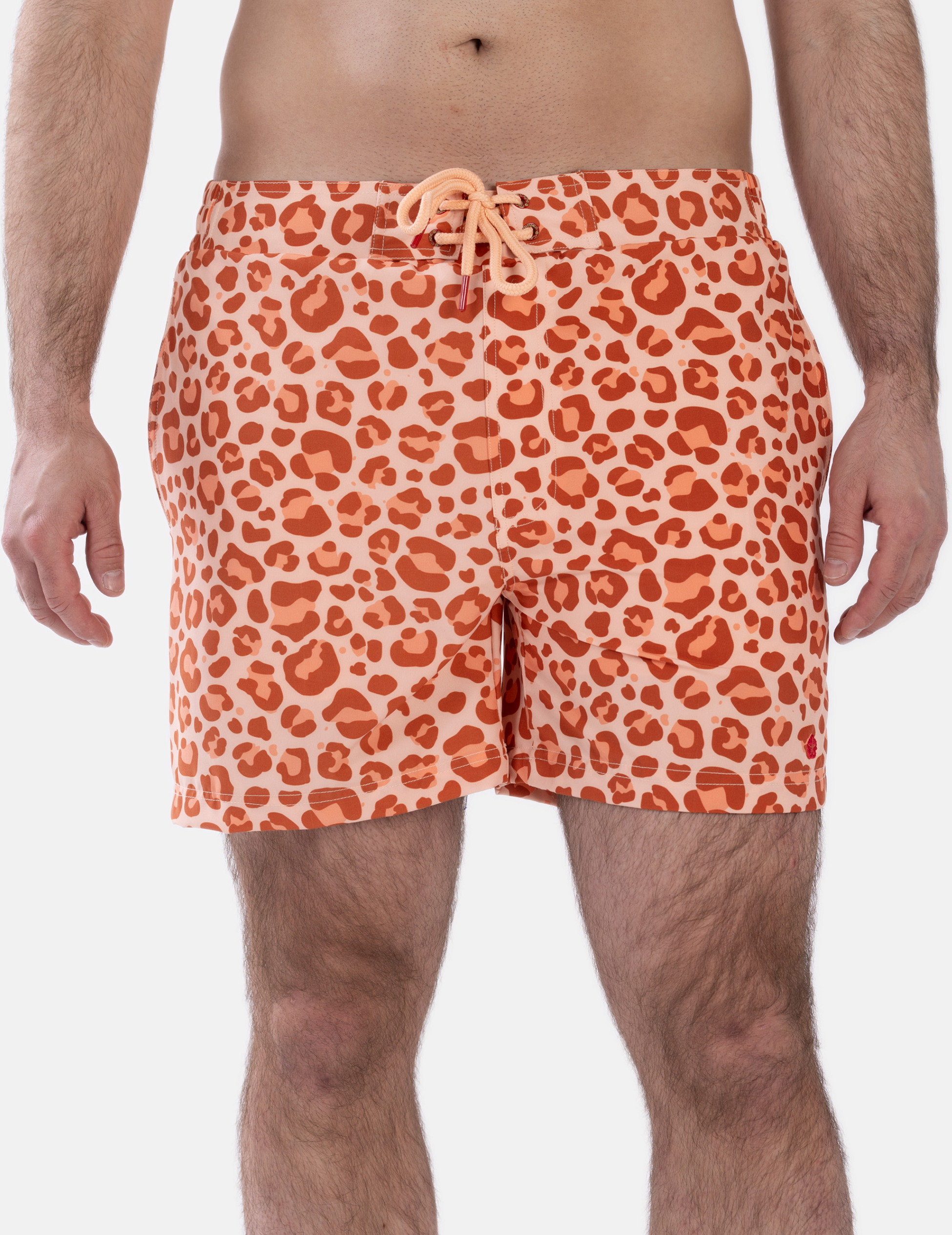 FROZEN CAPE, Ribeira