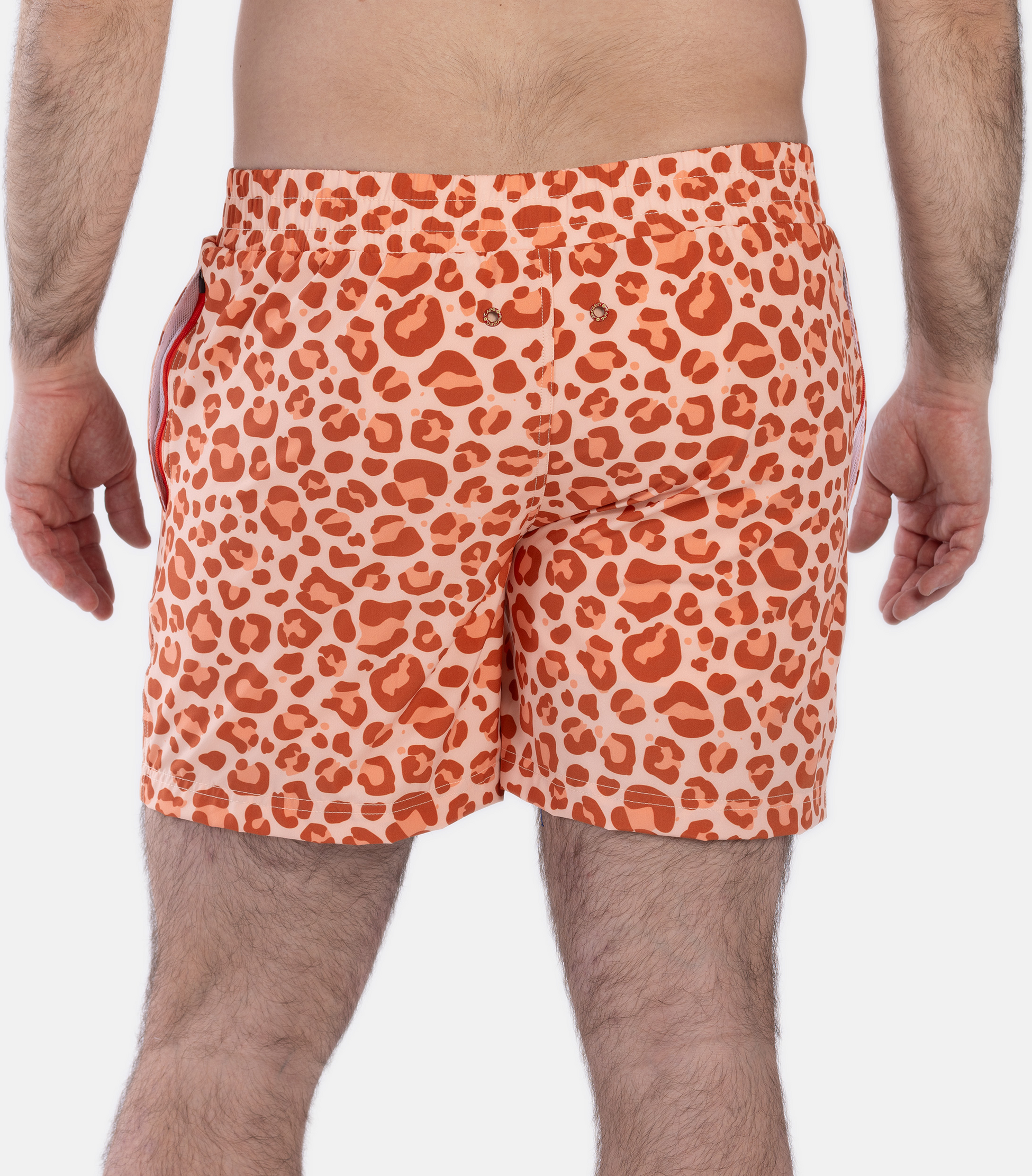 FROZEN CAPE, Ribeira