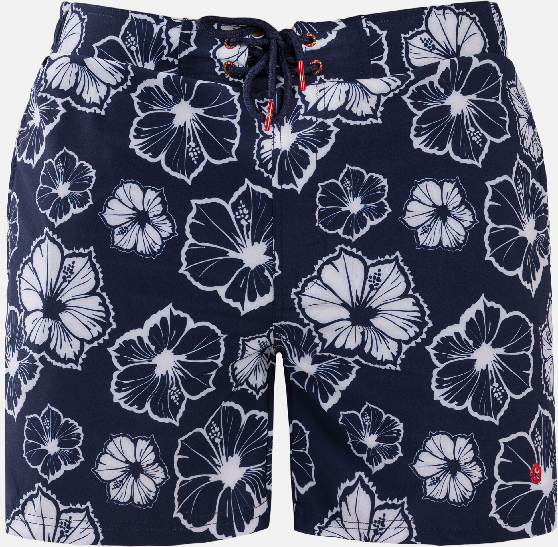 FROZEN CAPE, Ribeira