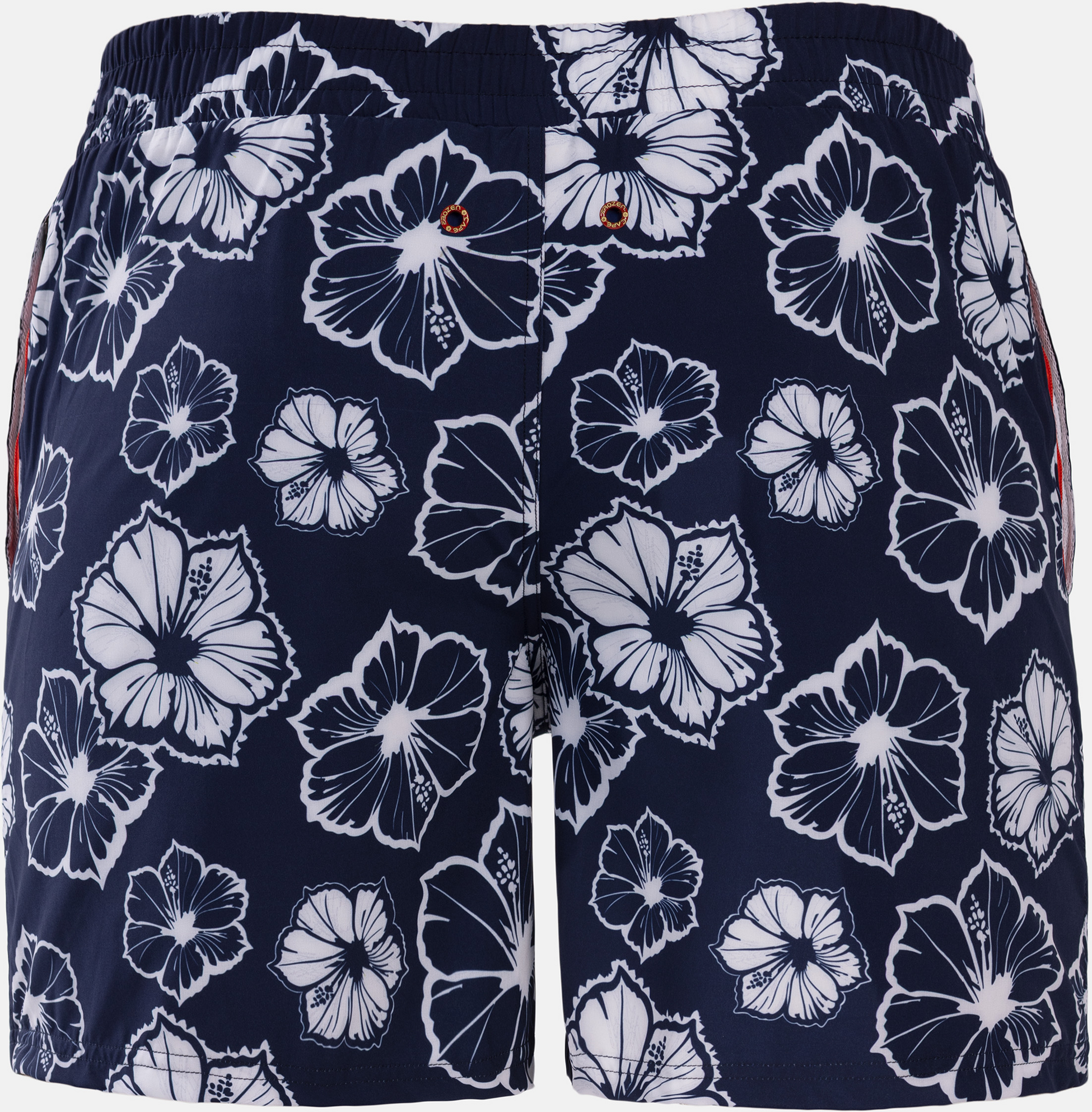 FROZEN CAPE, Ribeira