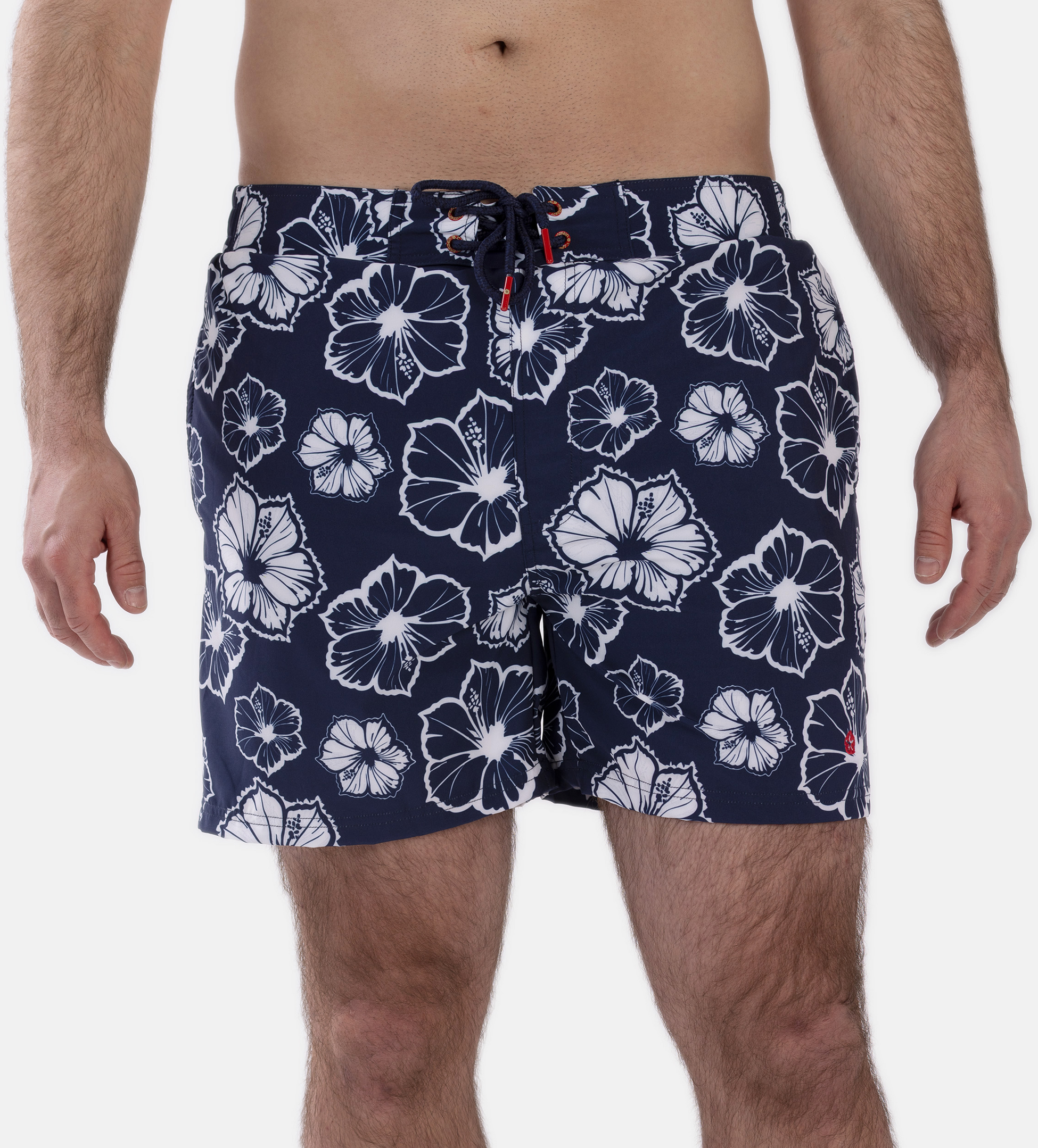 FROZEN CAPE, Ribeira