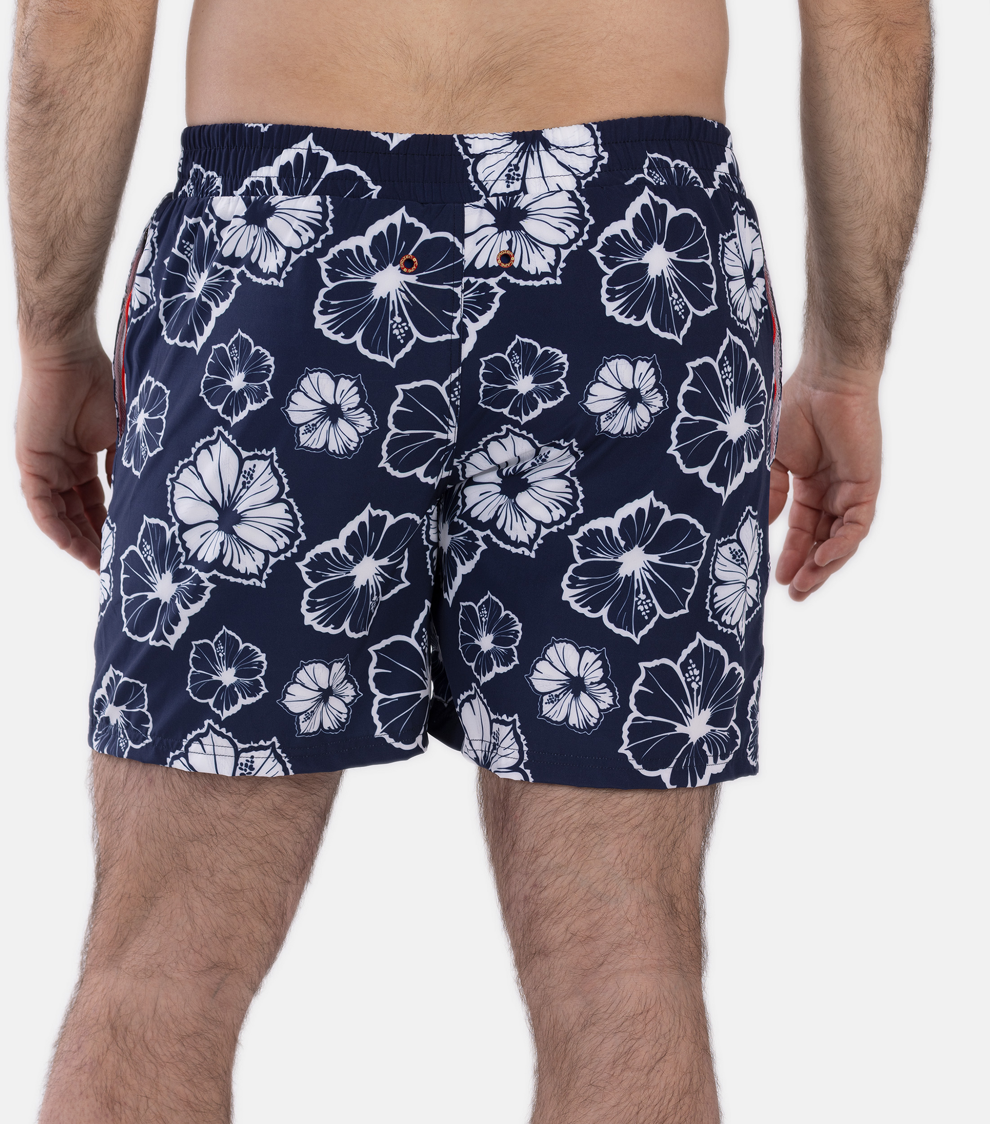 FROZEN CAPE, Ribeira